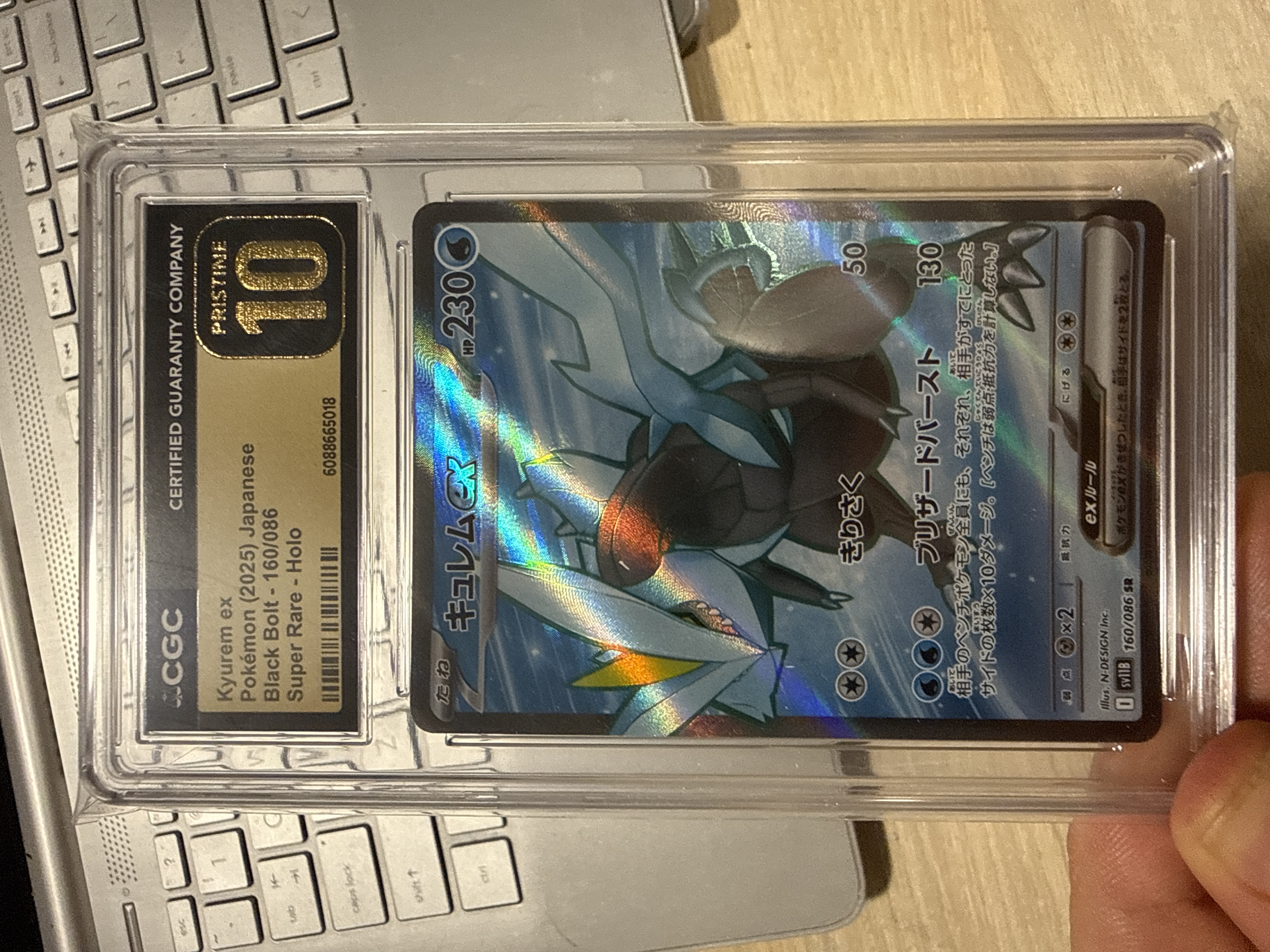 Kyurem ex foto 1