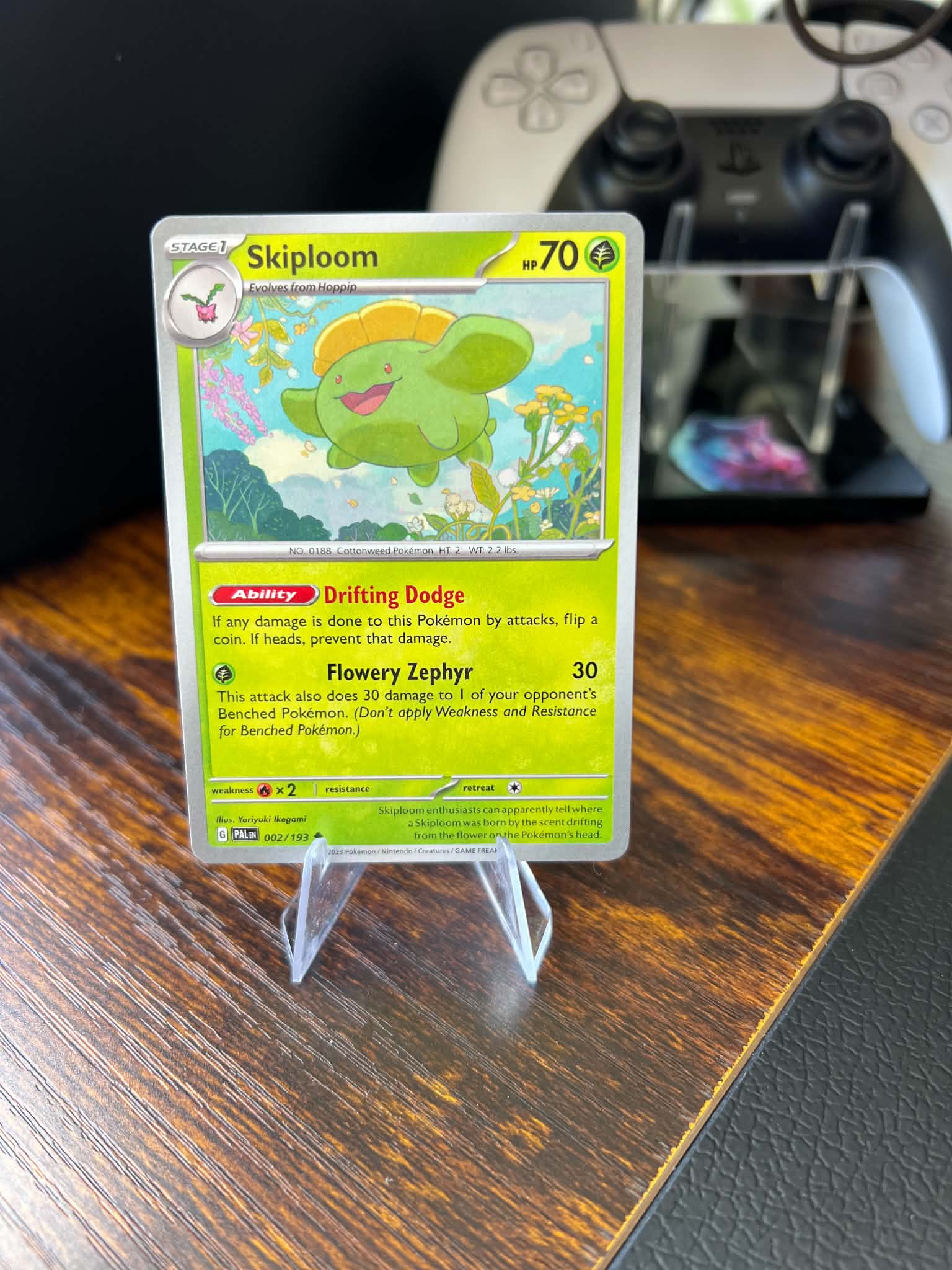 Skiploom
