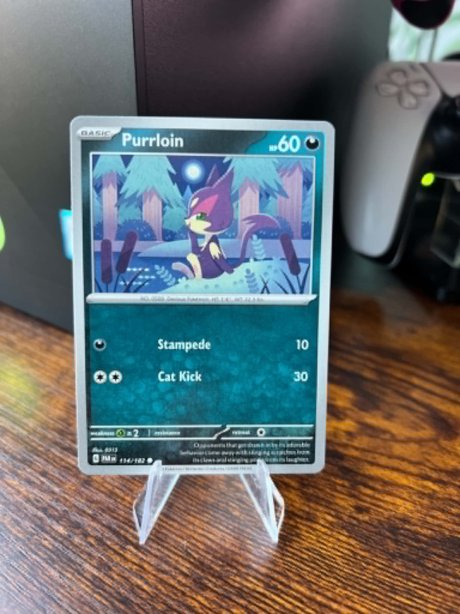 Purrloin foto 1