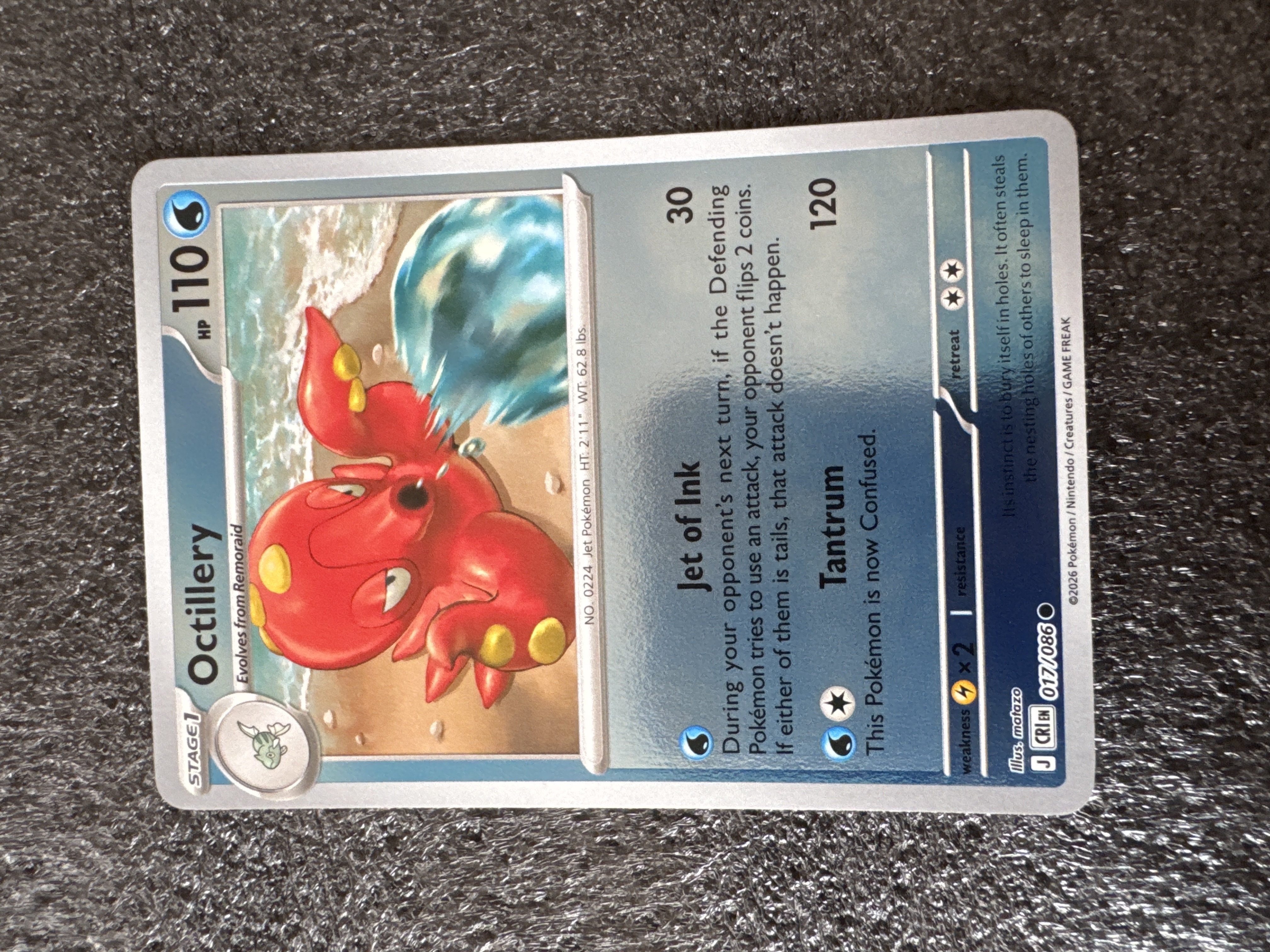 Octillery foto 1