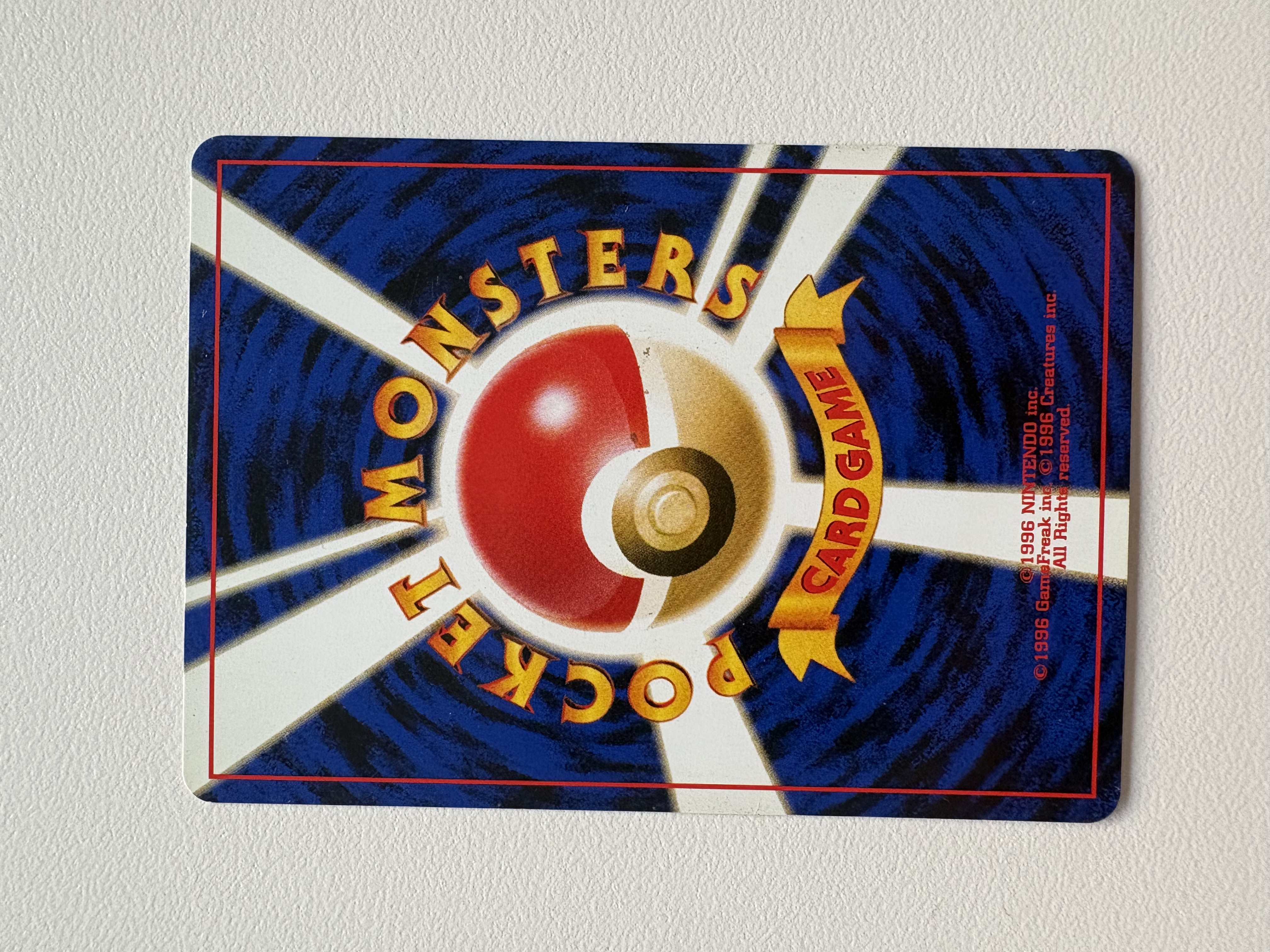 Rapidash foto 2