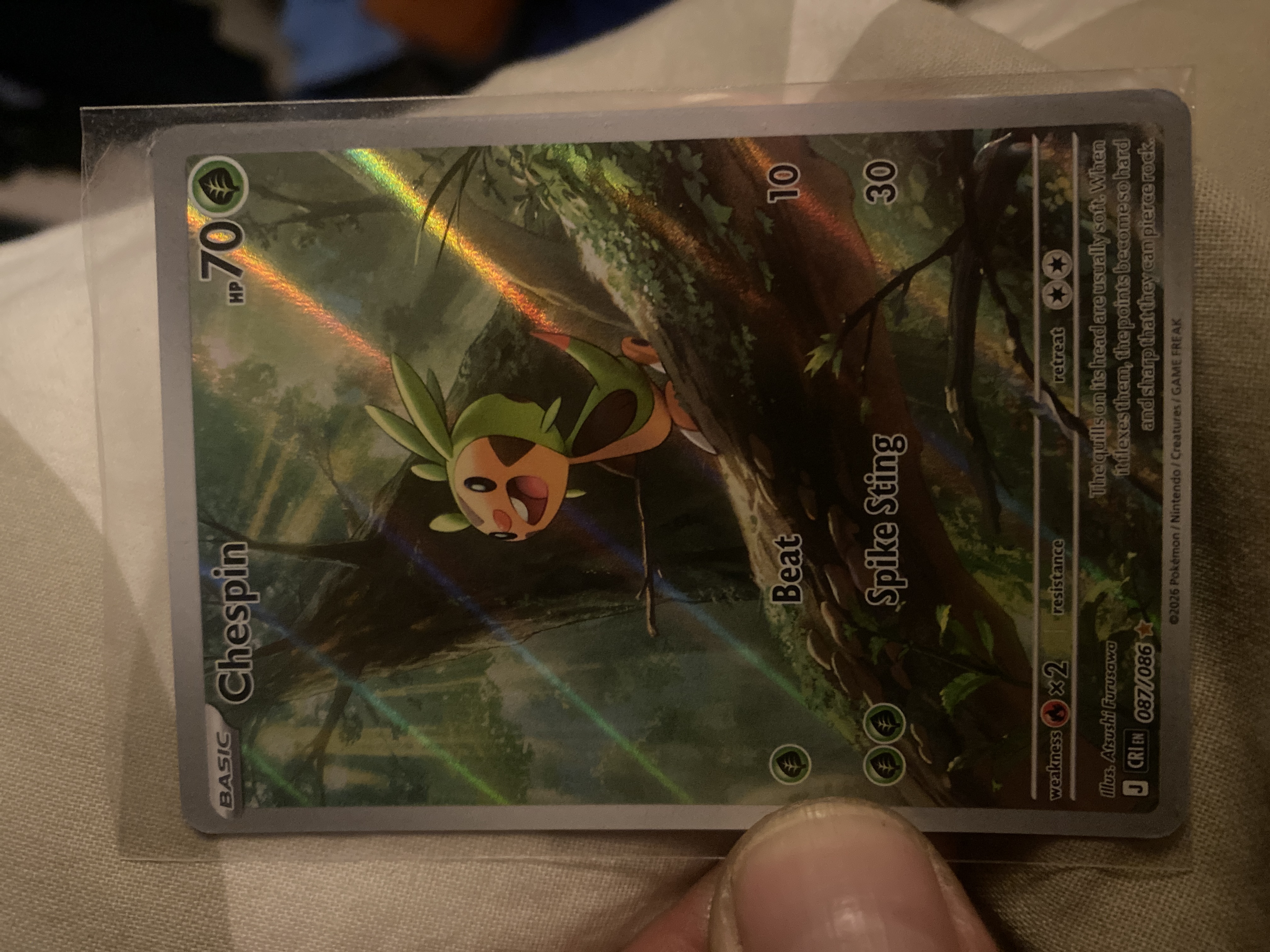 Chespin foto 1