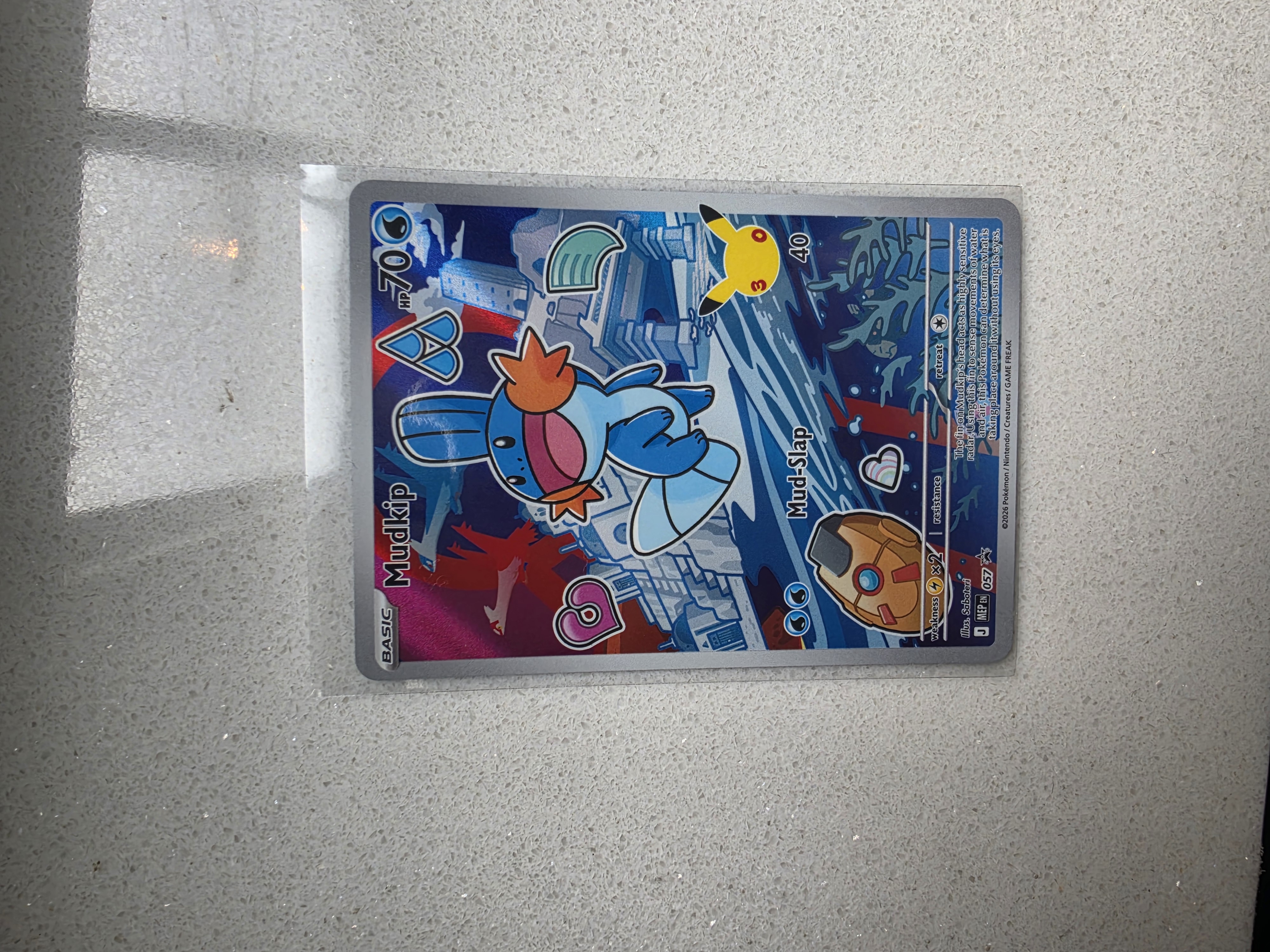 Mudkip foto 1