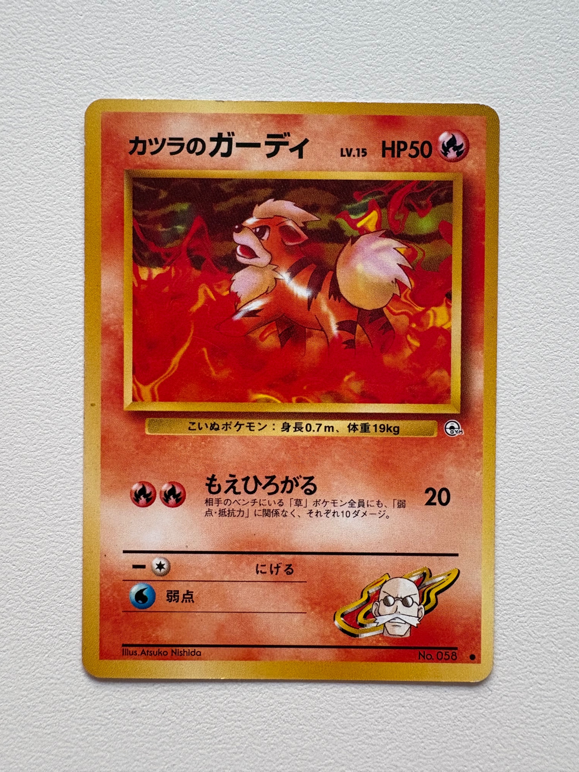 Blaine's Growlithe foto 1