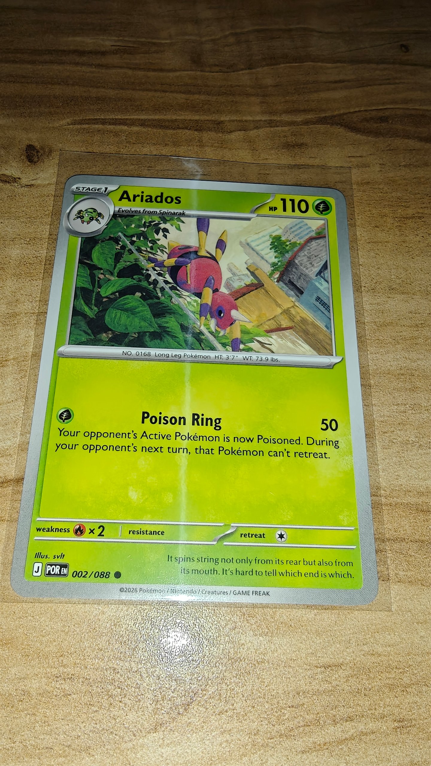 Ariados foto 2