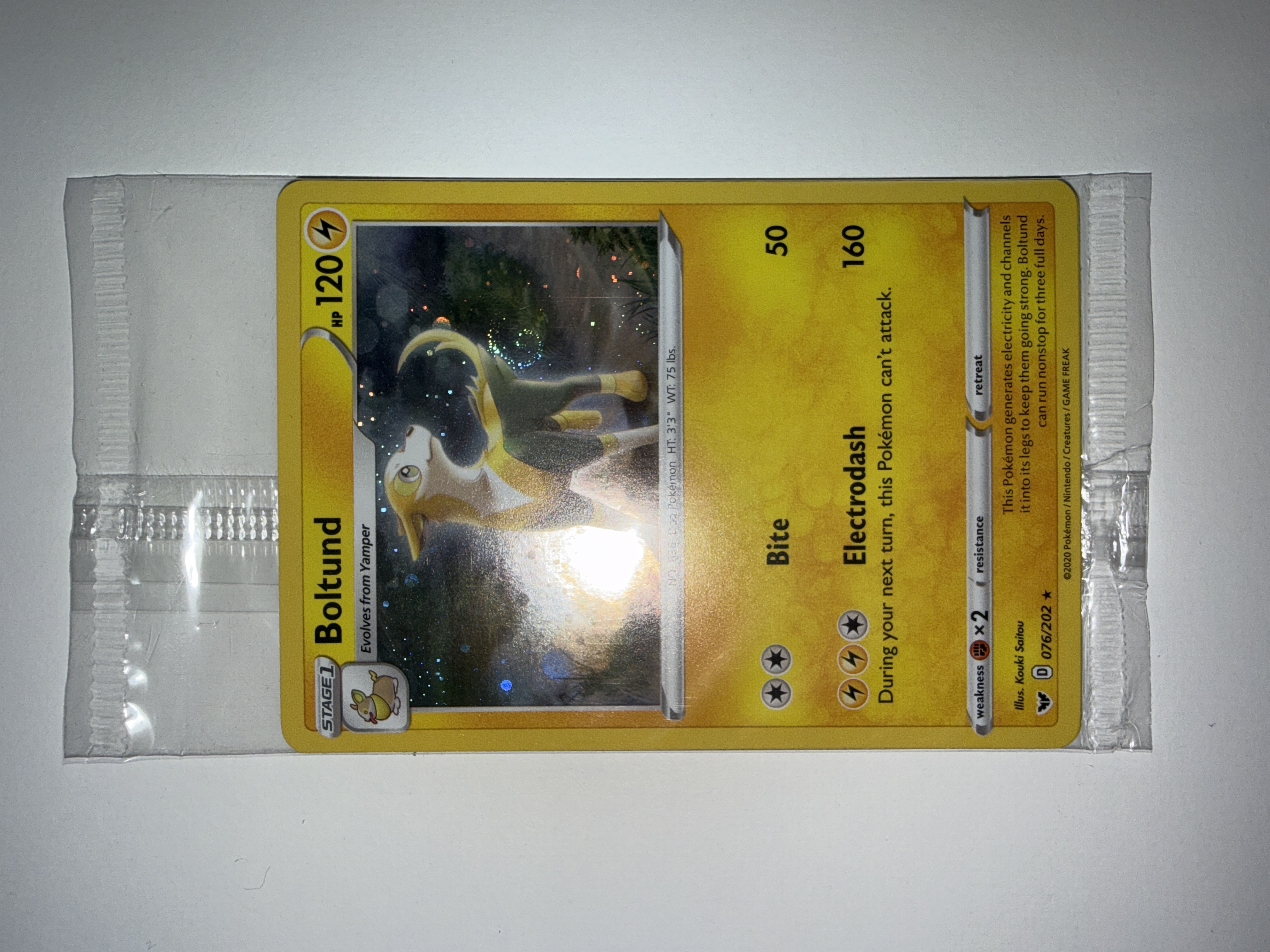 Boltund foto 1