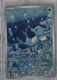 Horsea foto 1
