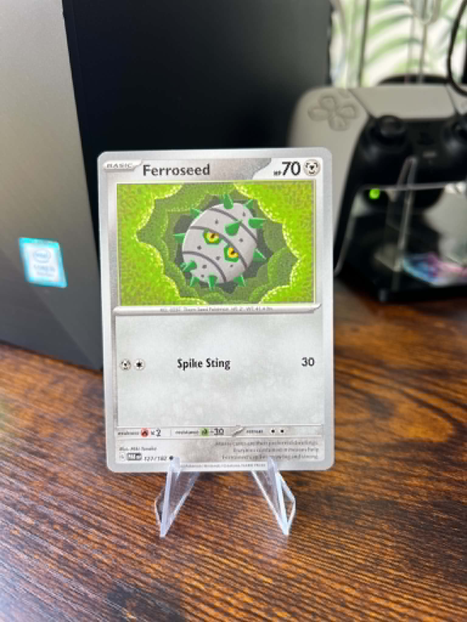 Ferroseed foto 1