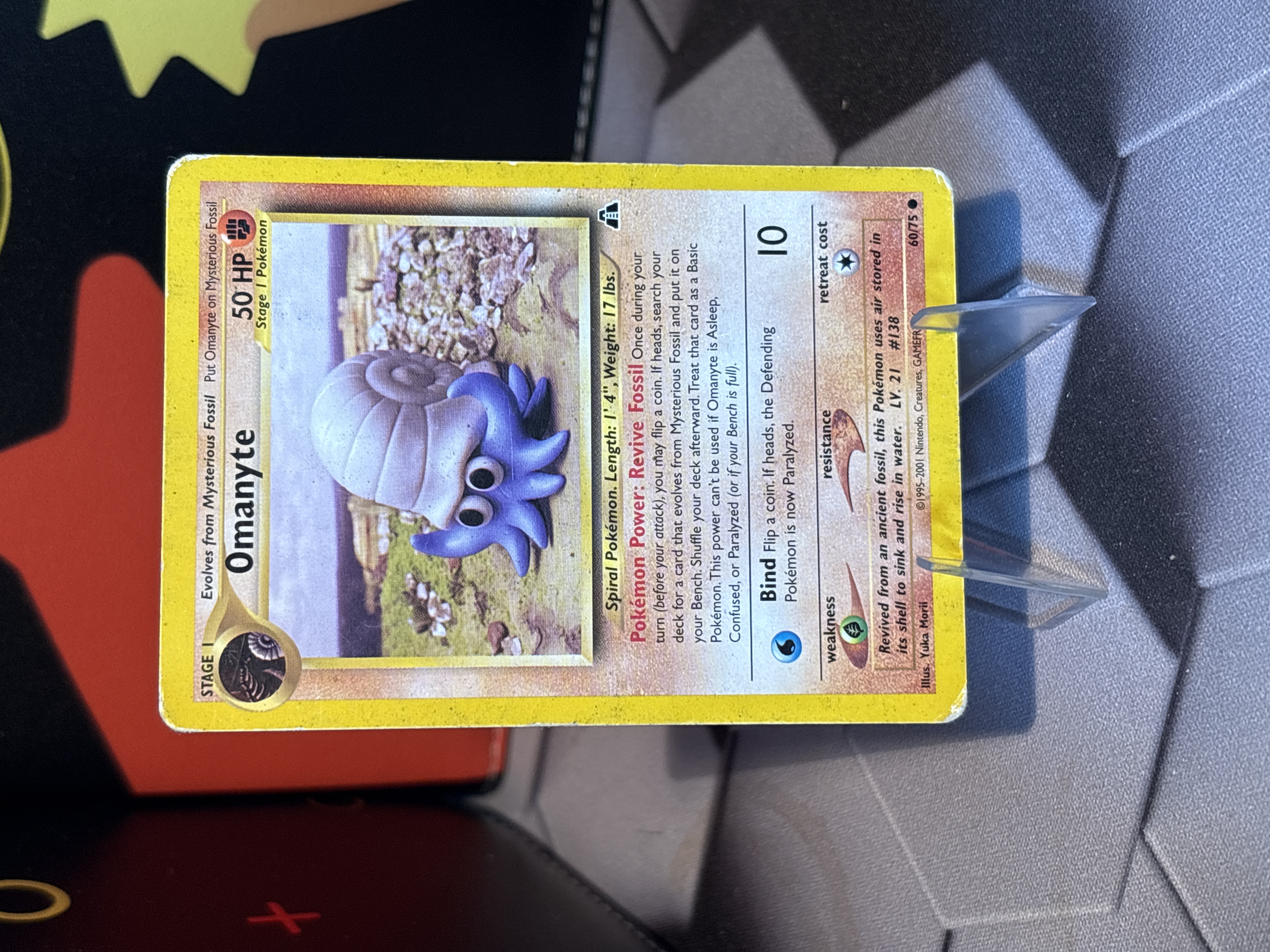 Omanyte