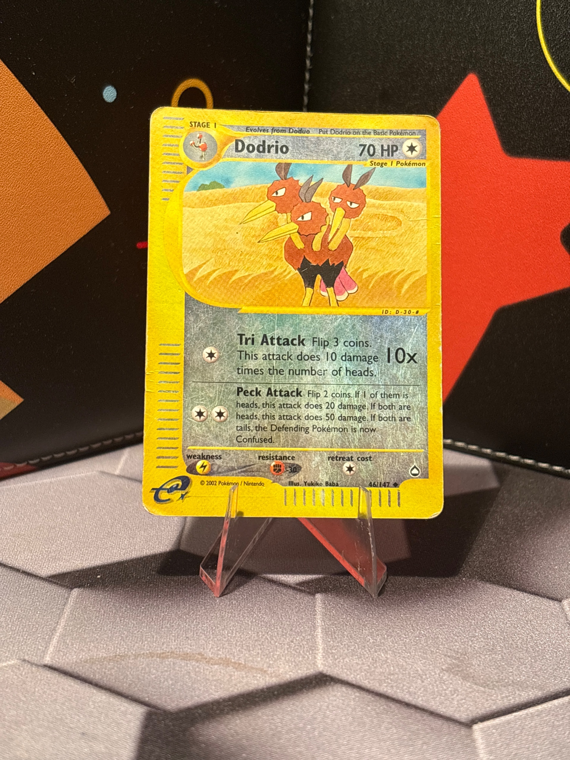 Dodrio foto 2