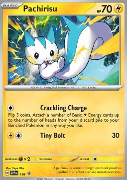 Pachirisu foto 1