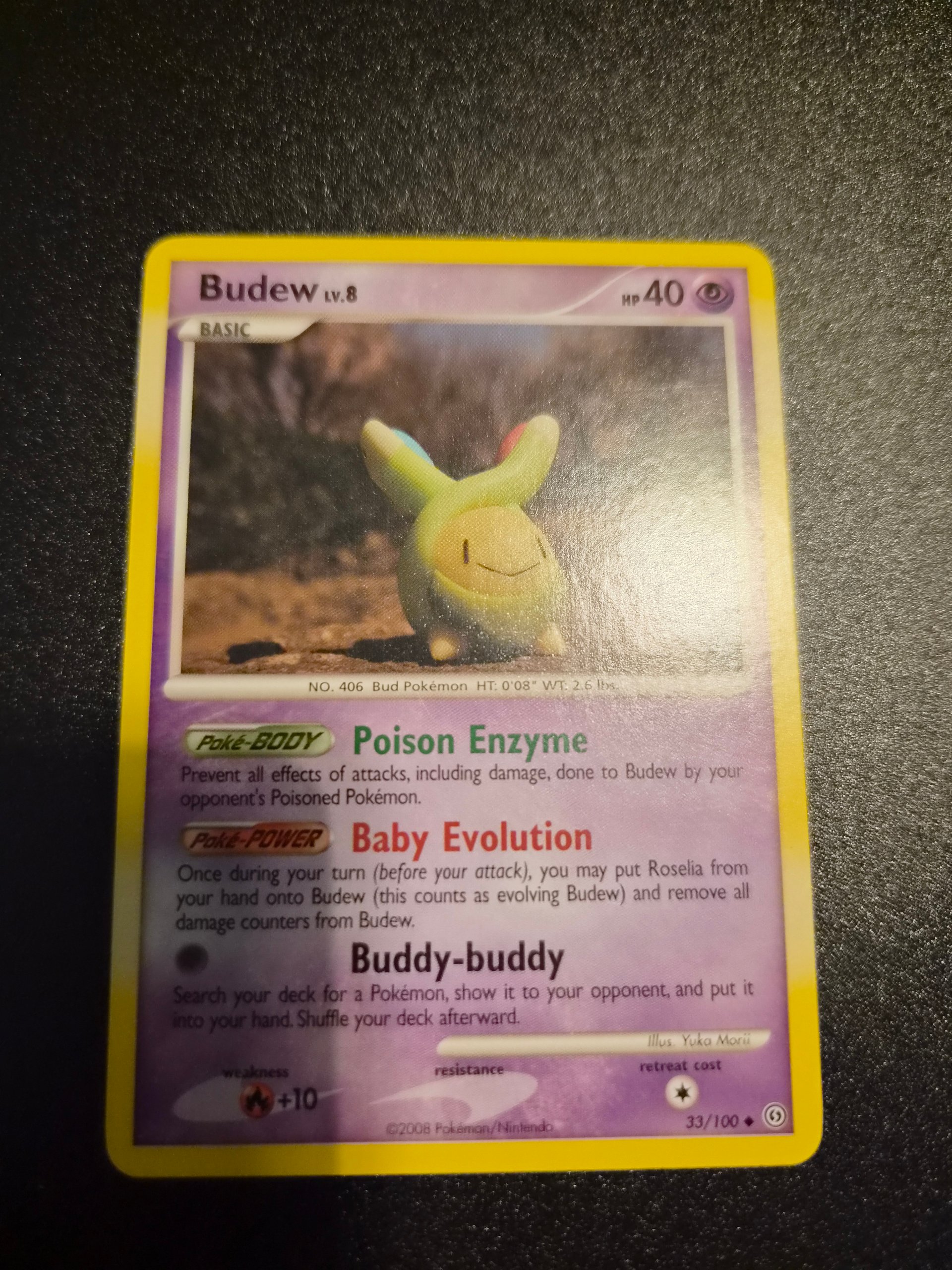 Budew foto 1