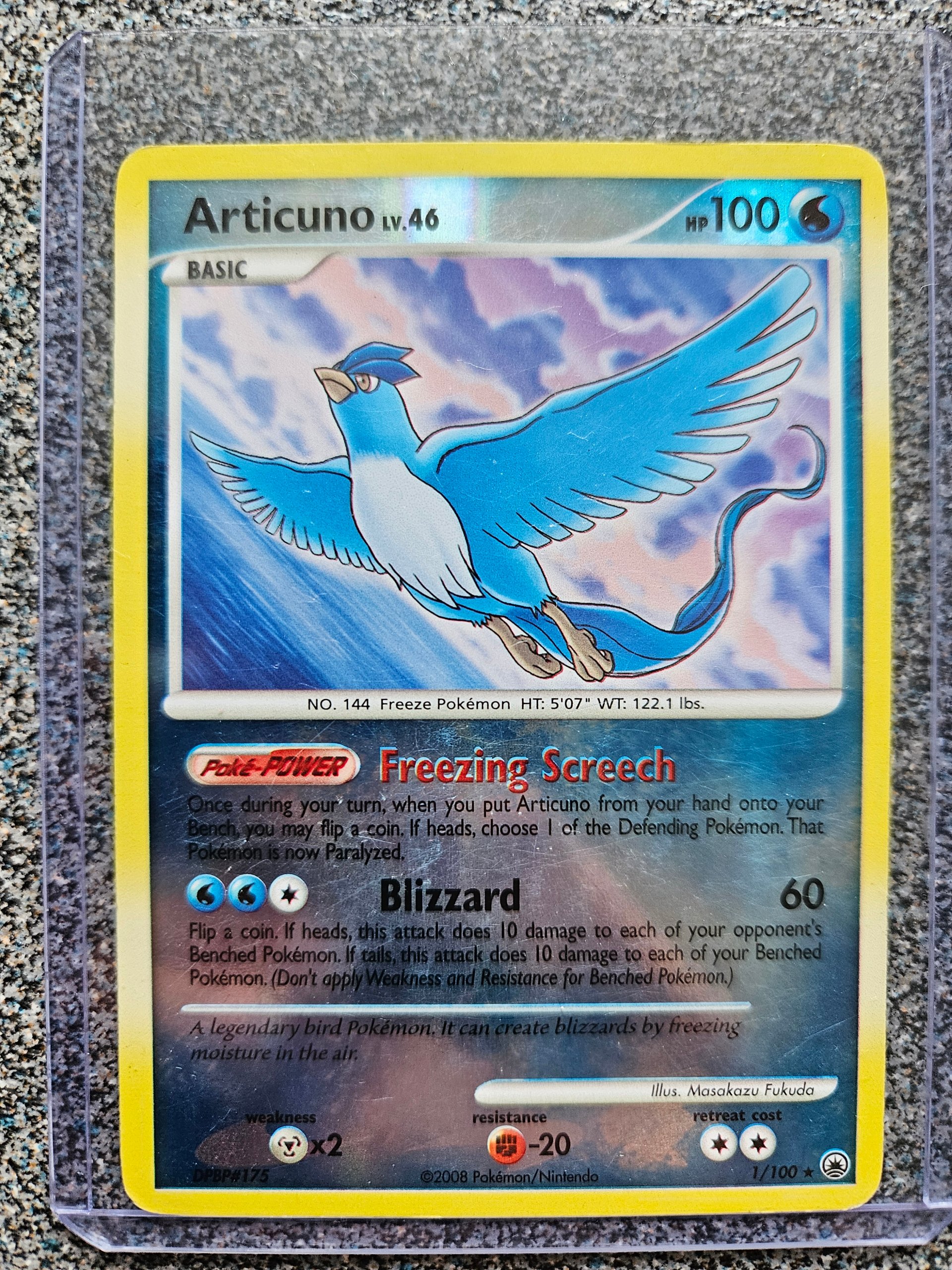 Articuno foto 1