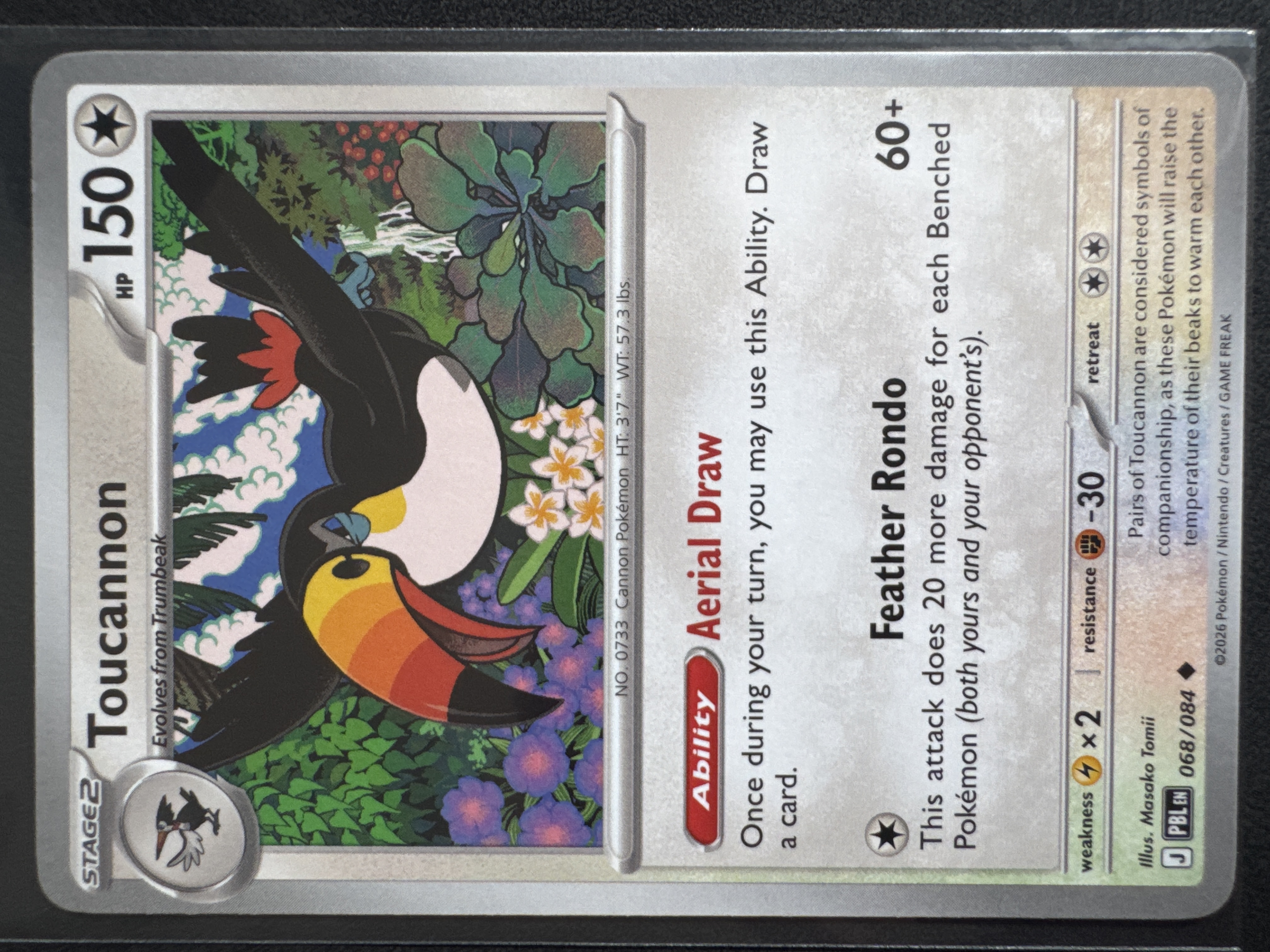 Toucannon
