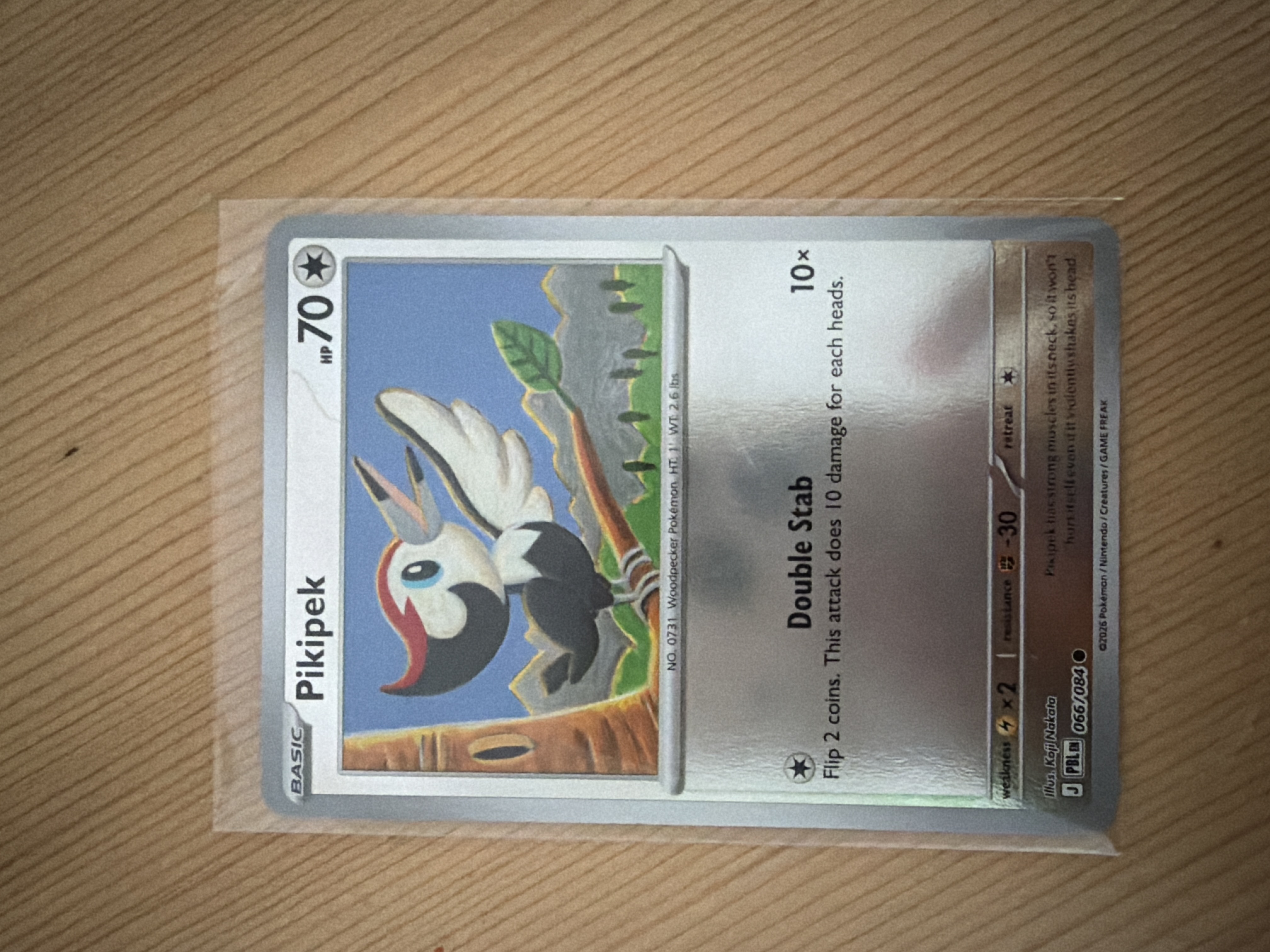 Pikipek