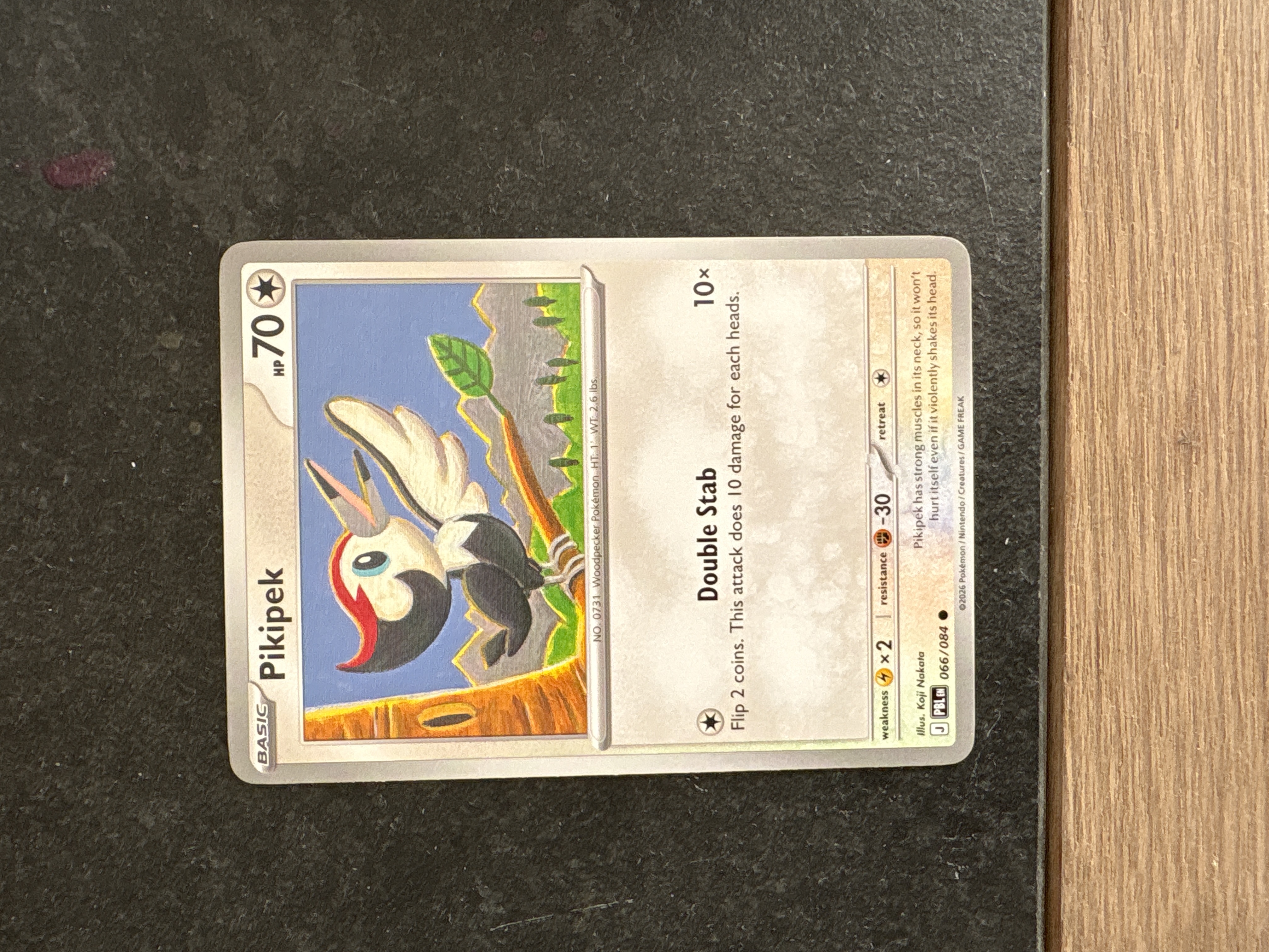 Pikipek