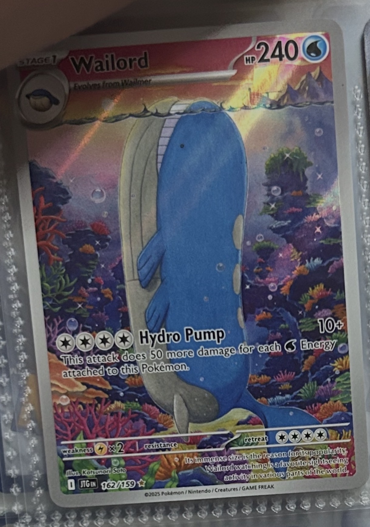 Wailord foto 1