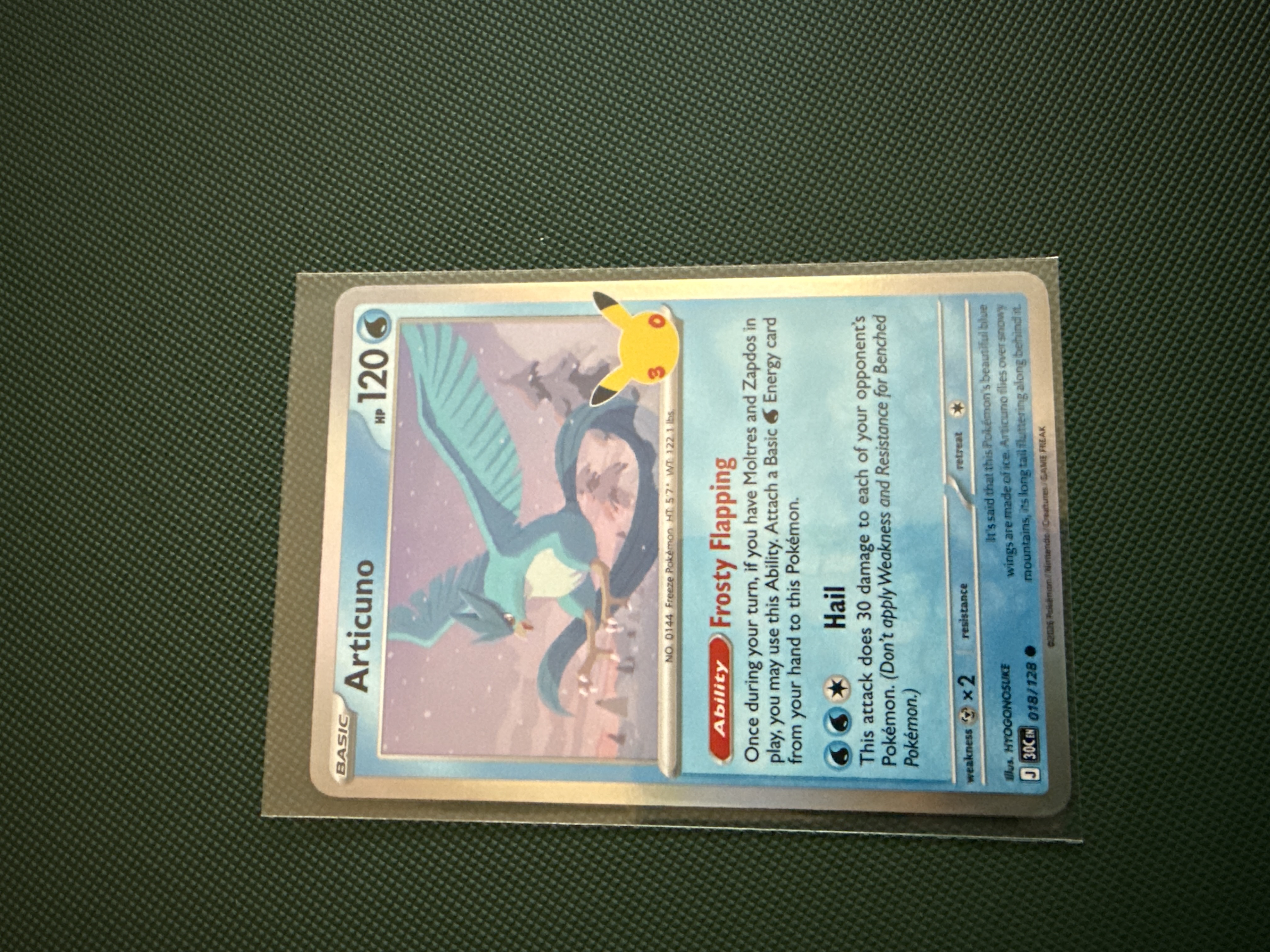 Articuno foto 1