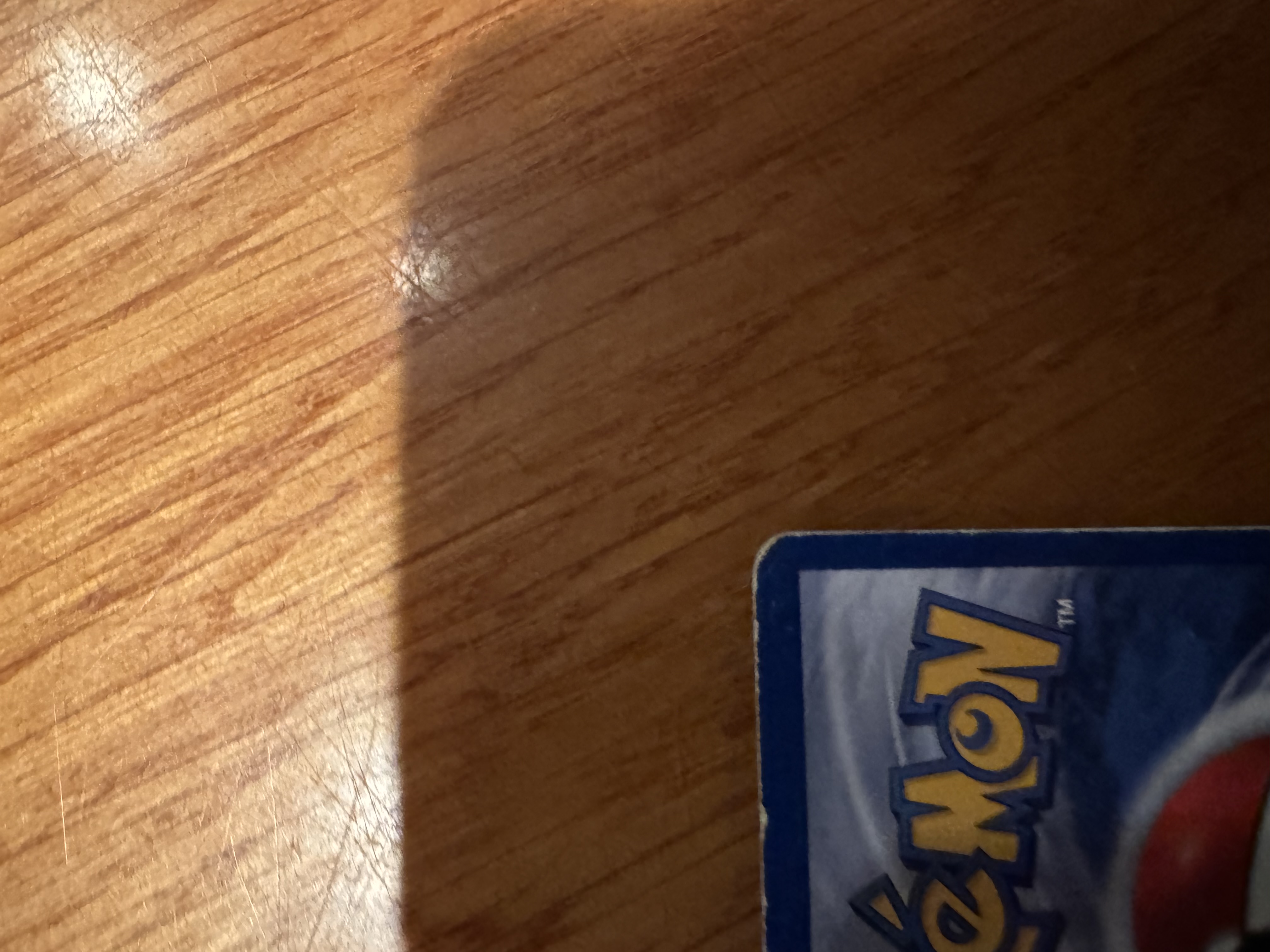 Articuno foto 10