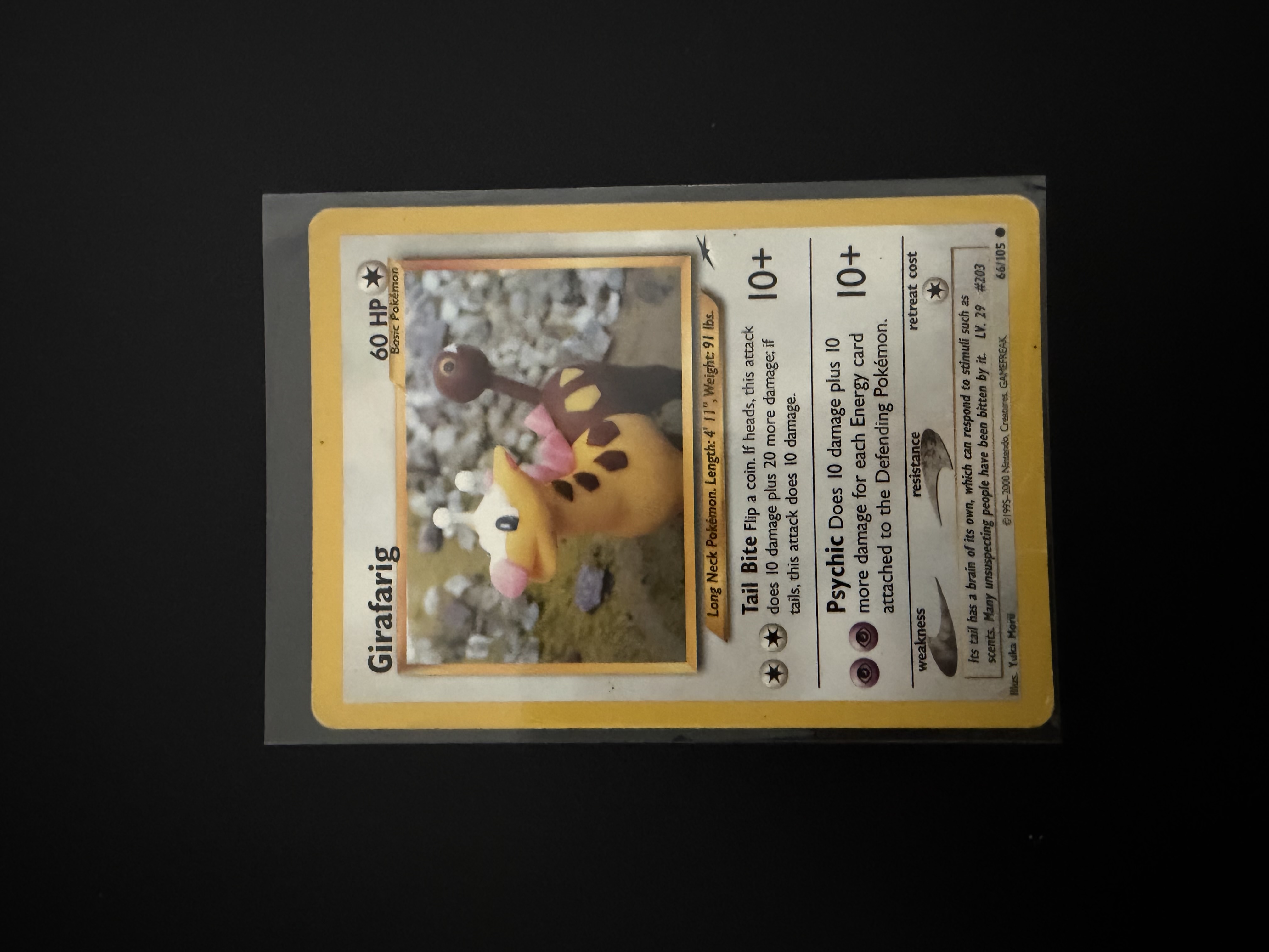 Girafarig foto 1