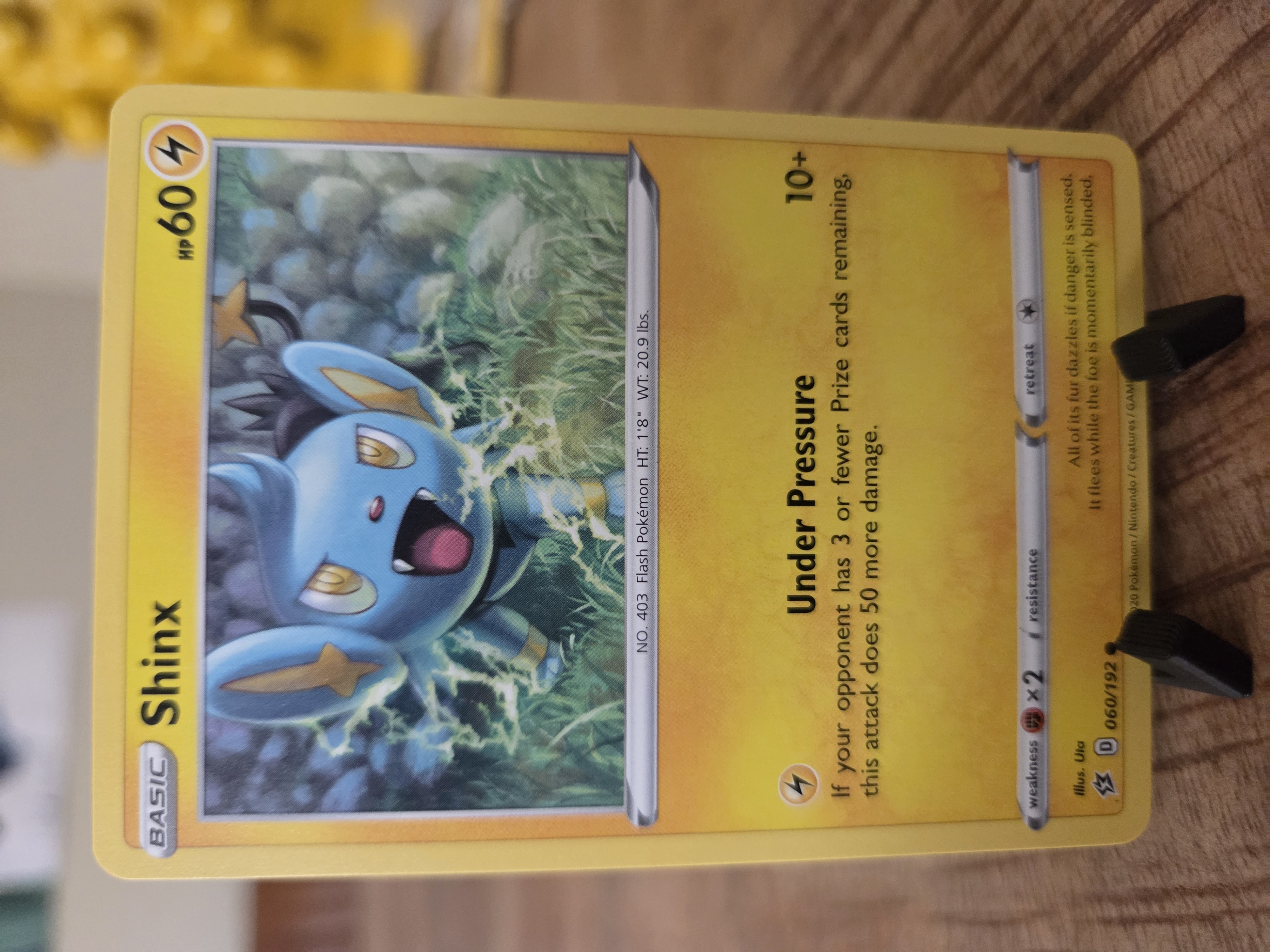 Shinx foto 1
