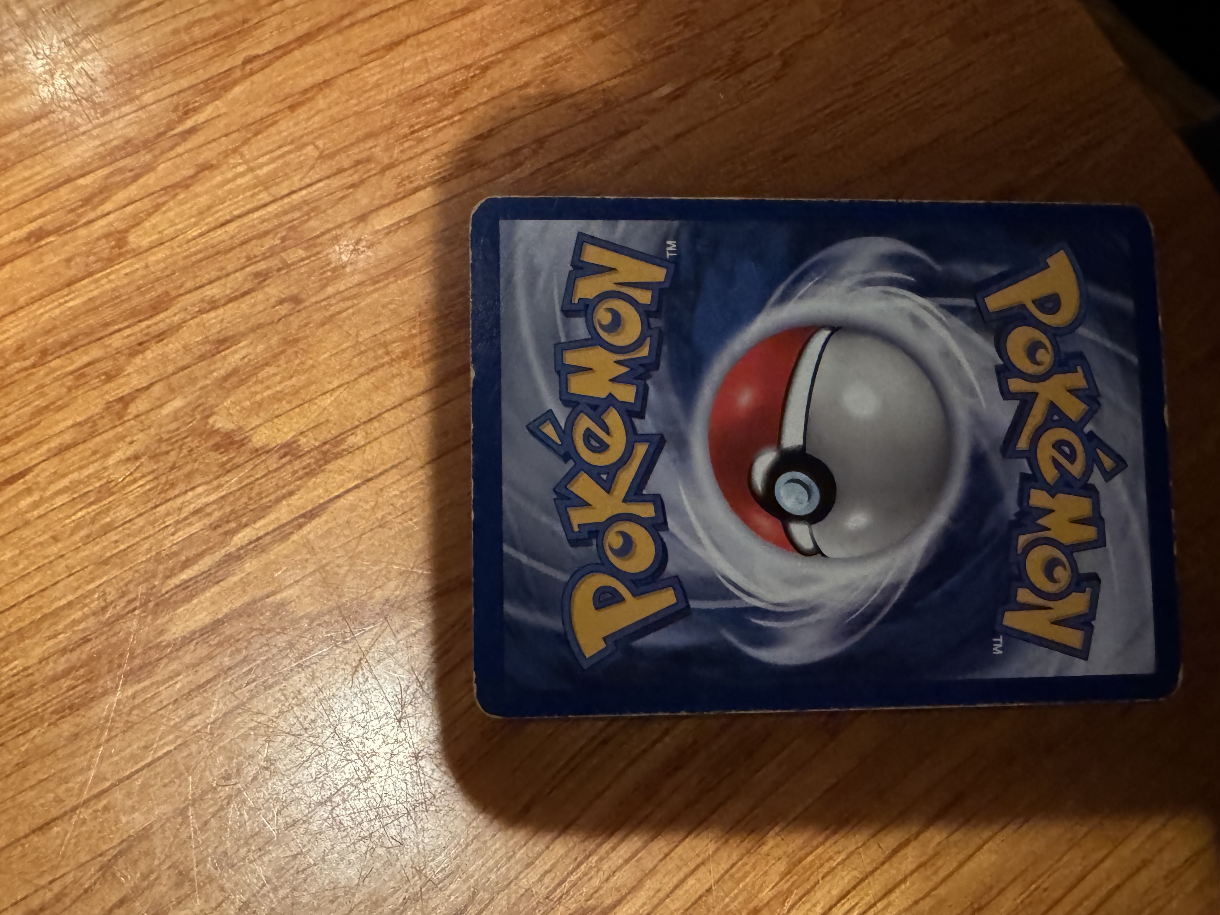 Articuno foto 6