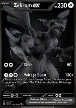 Zekrom ex foto 1