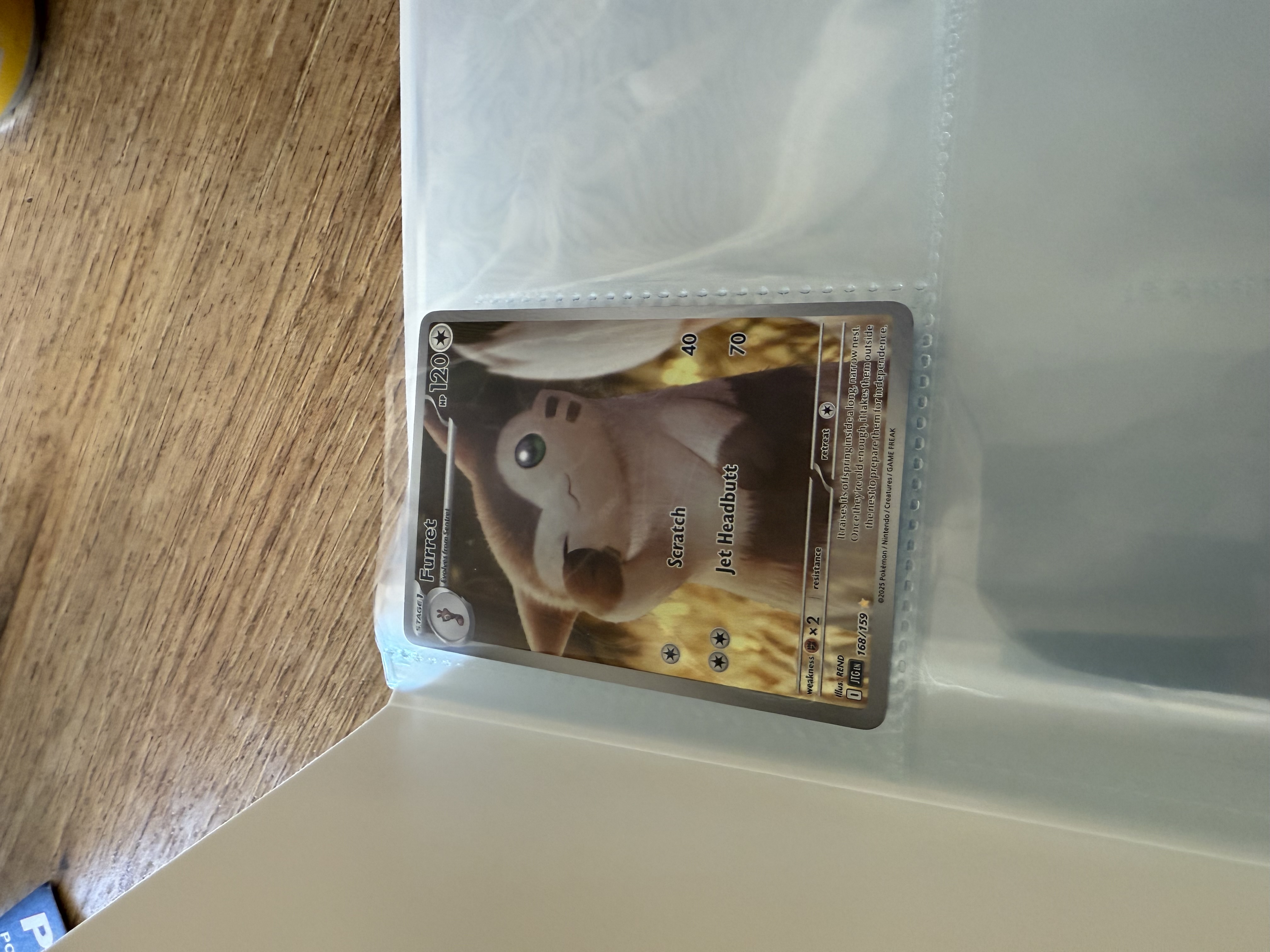 Furret
