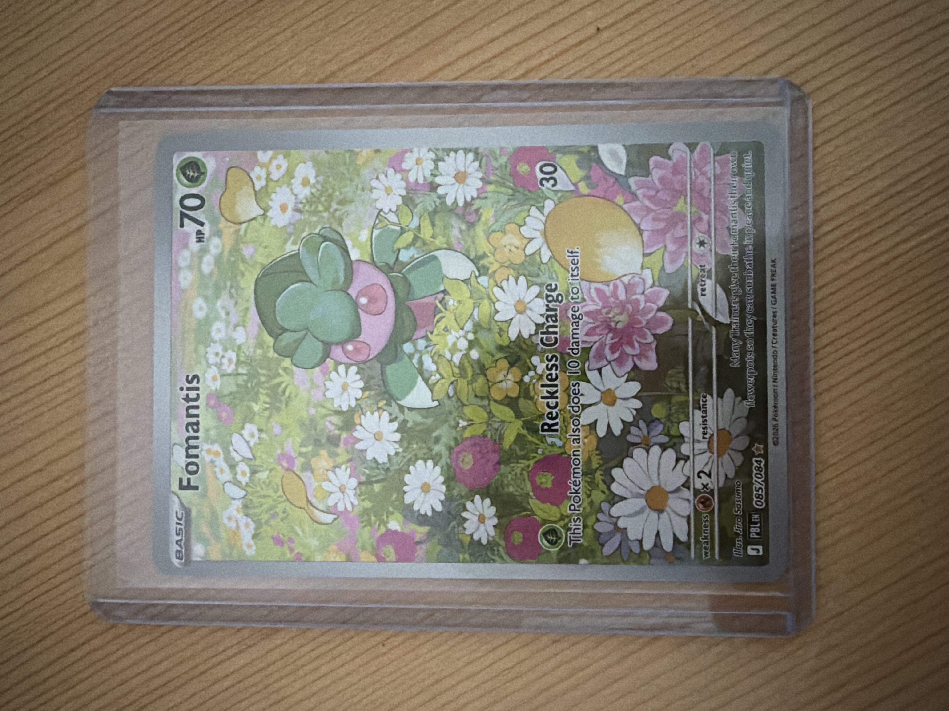 Fomantis foto 1