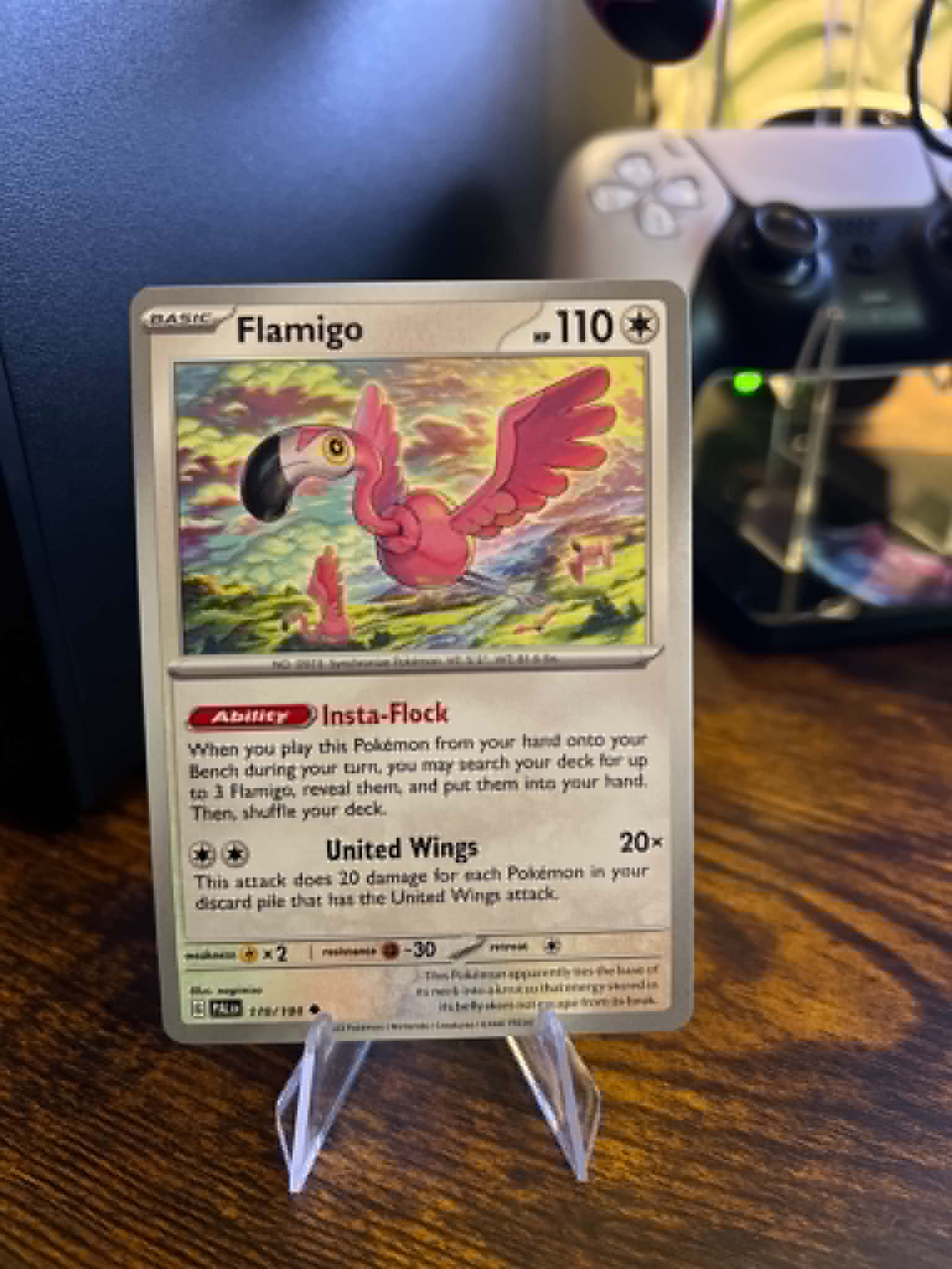 Flamigo