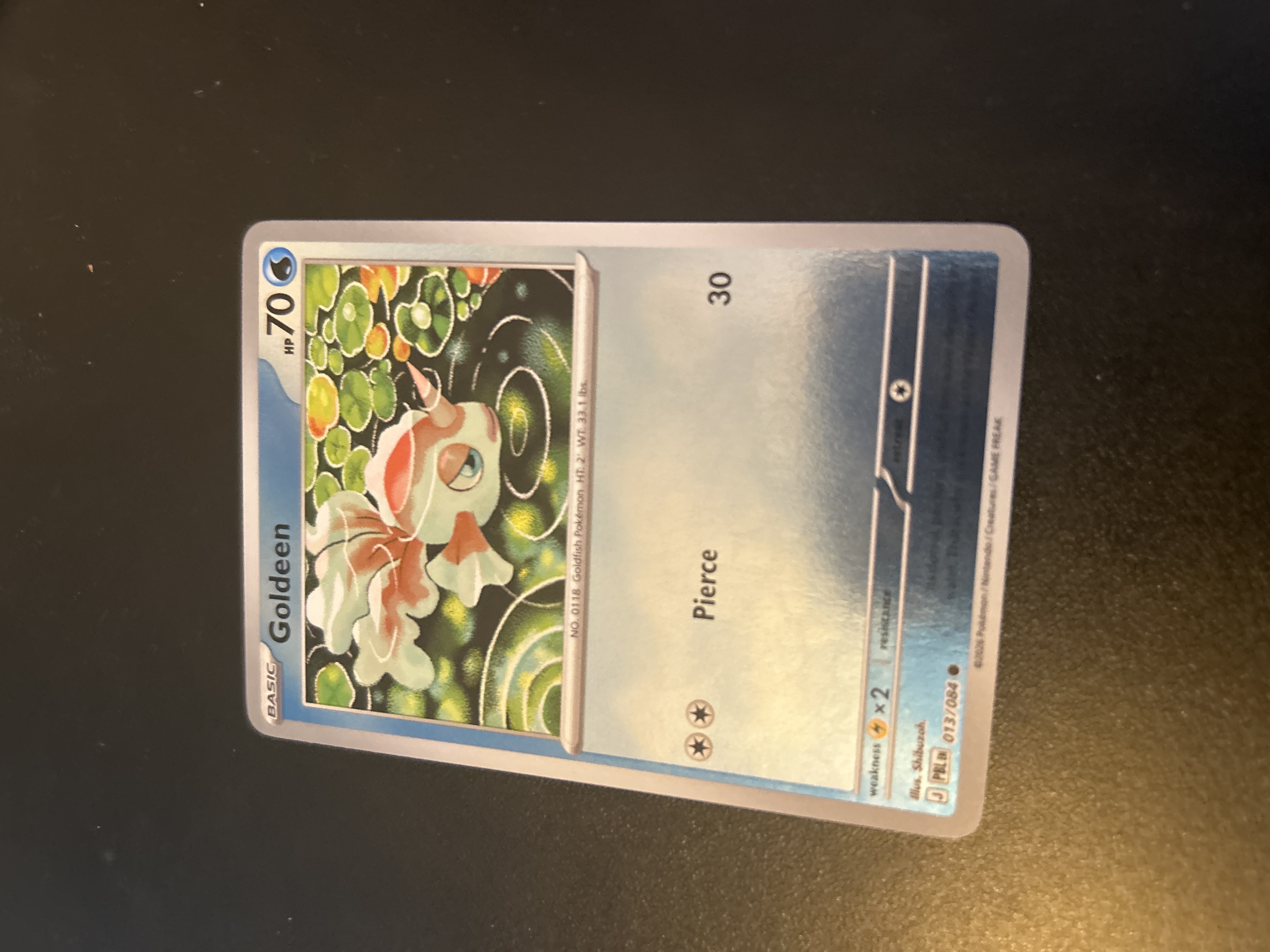 Goldeen