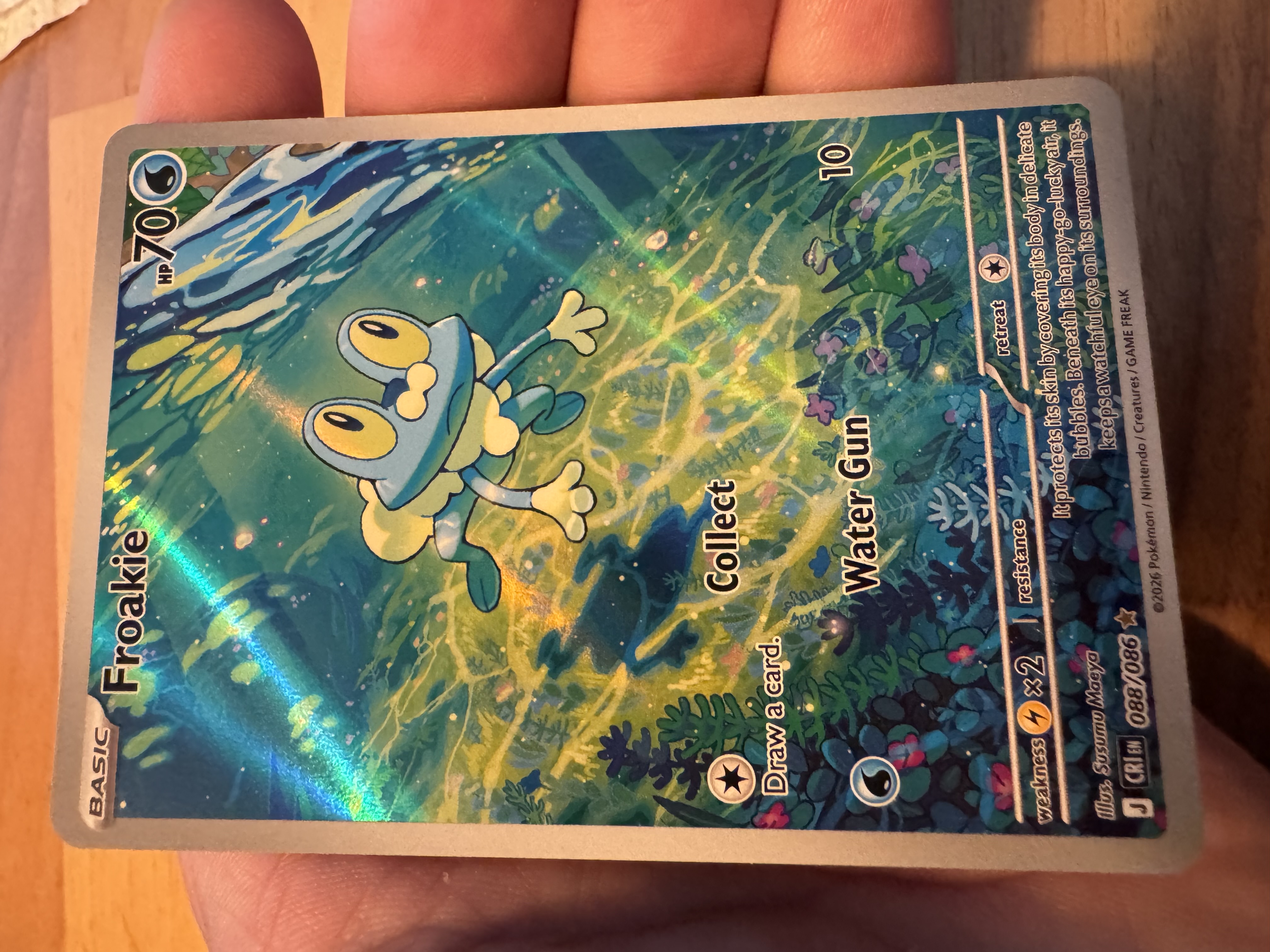 Froakie foto 1