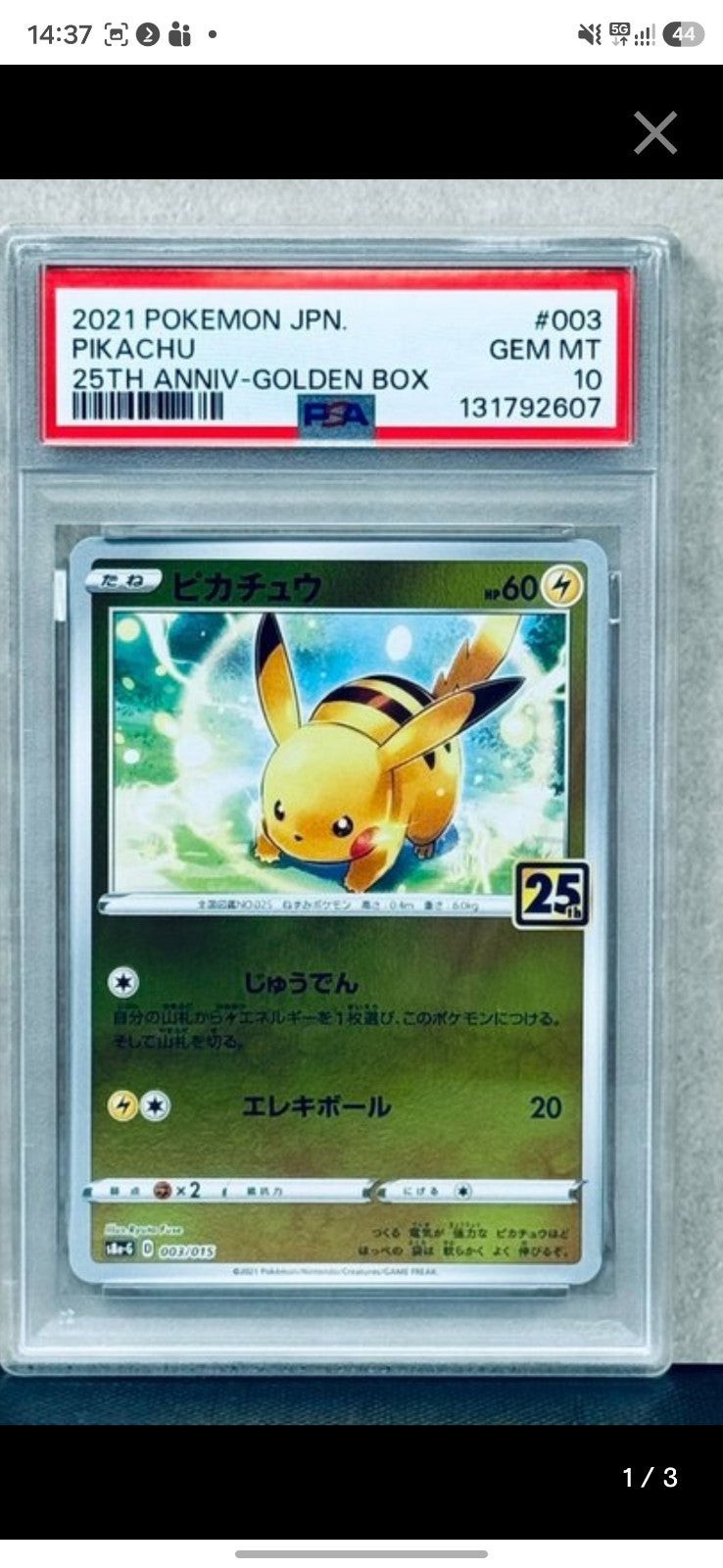 Pikachu foto 1