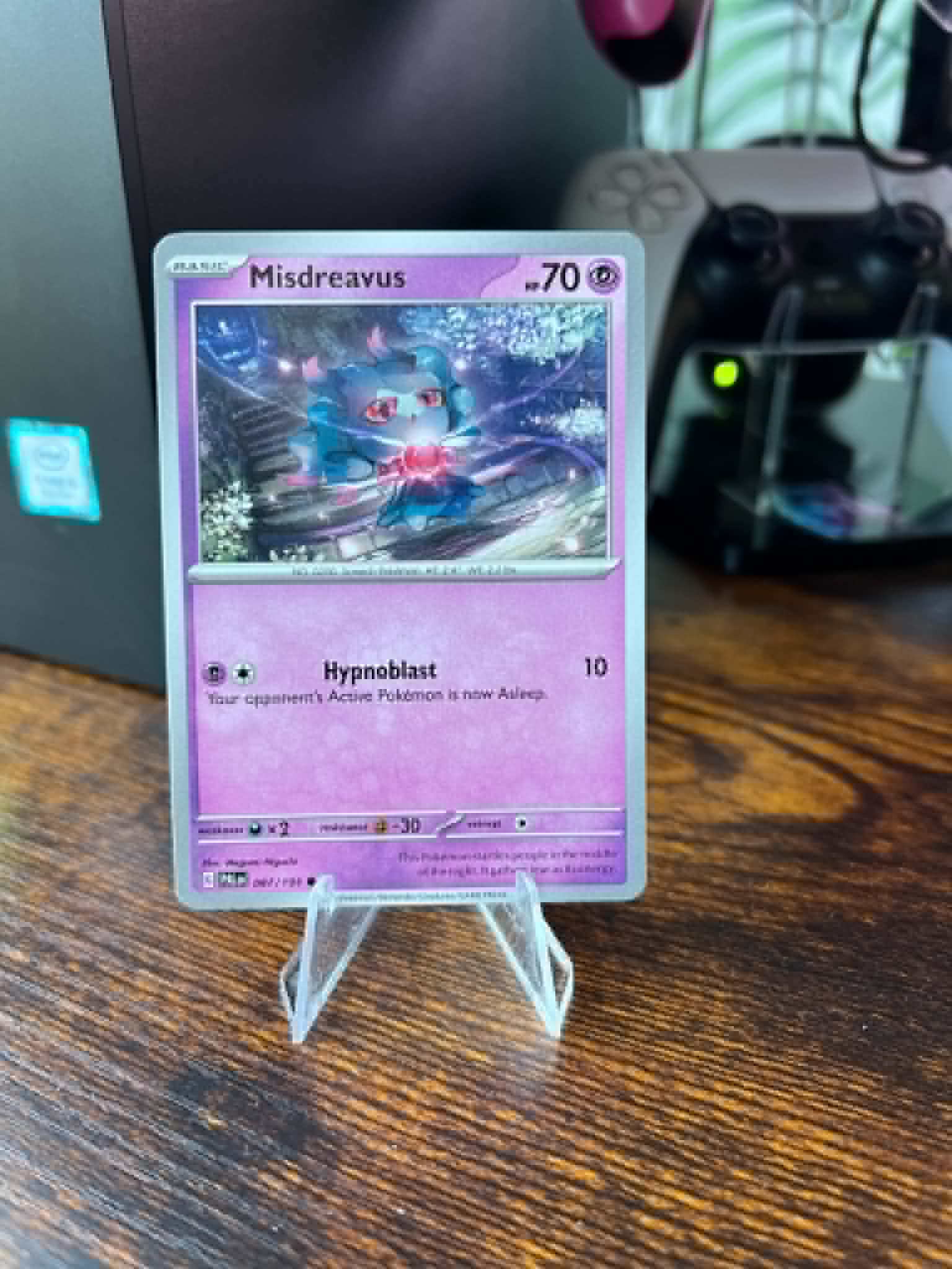 Misdreavus foto 1