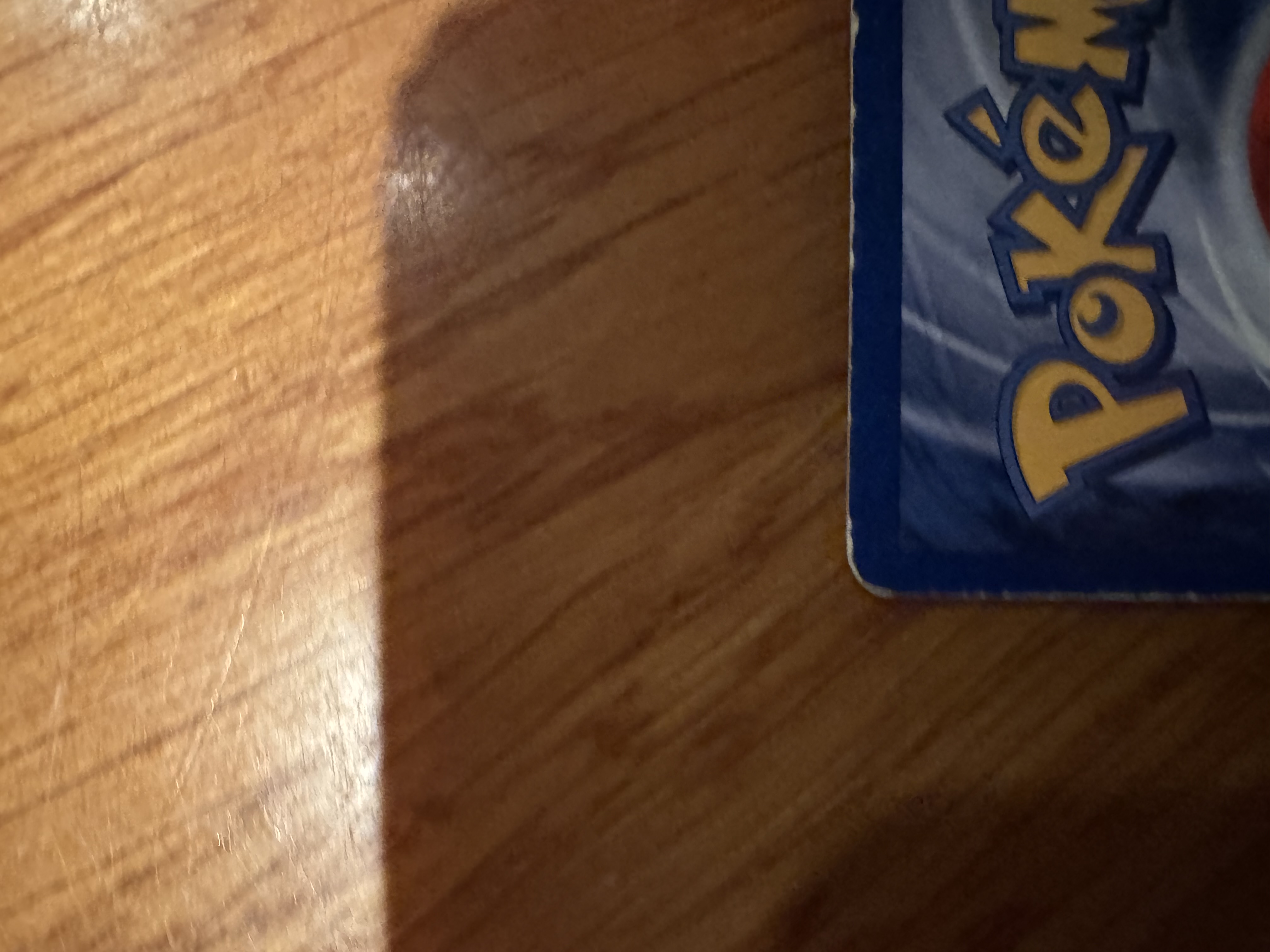 Articuno foto 9