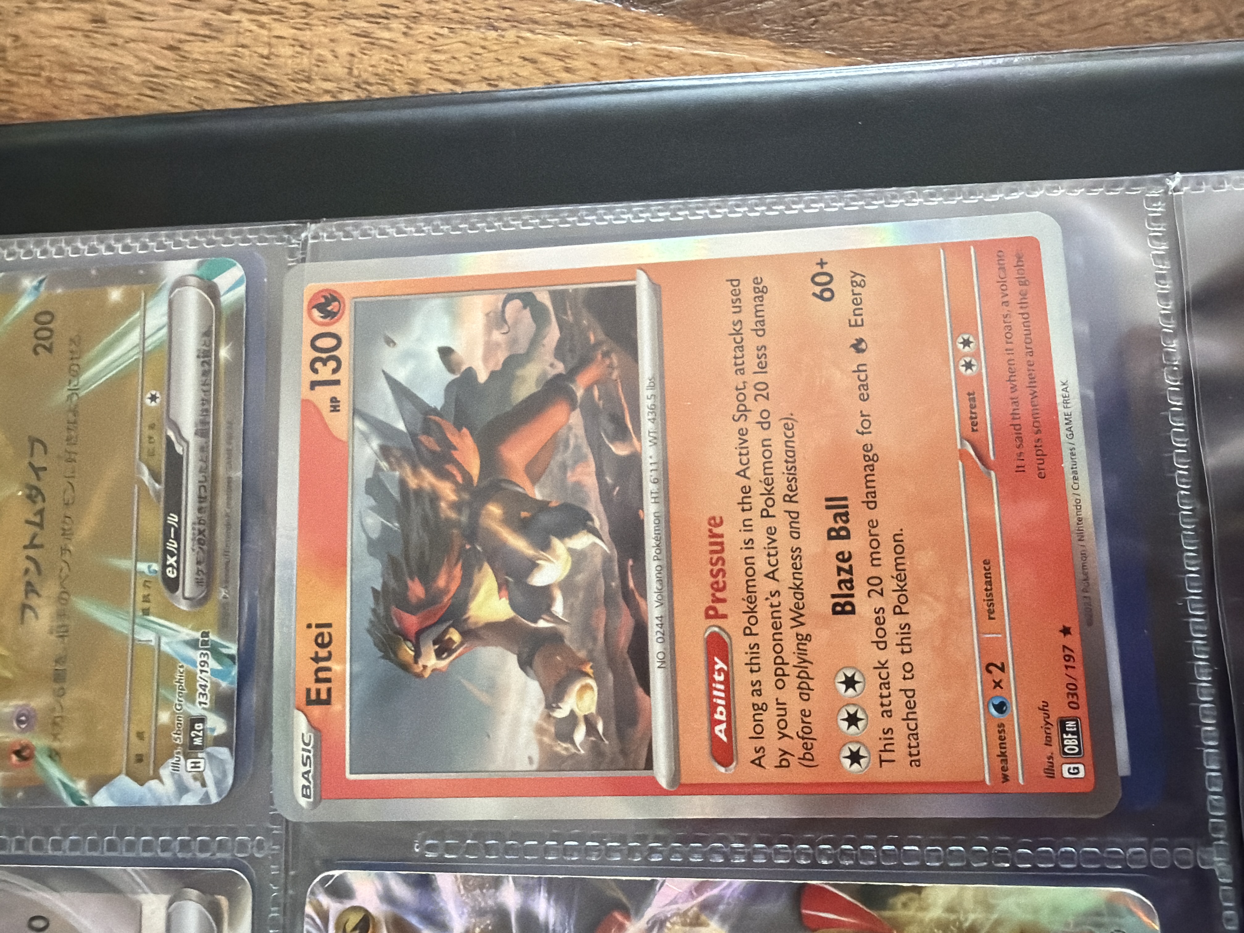 Entei foto 1
