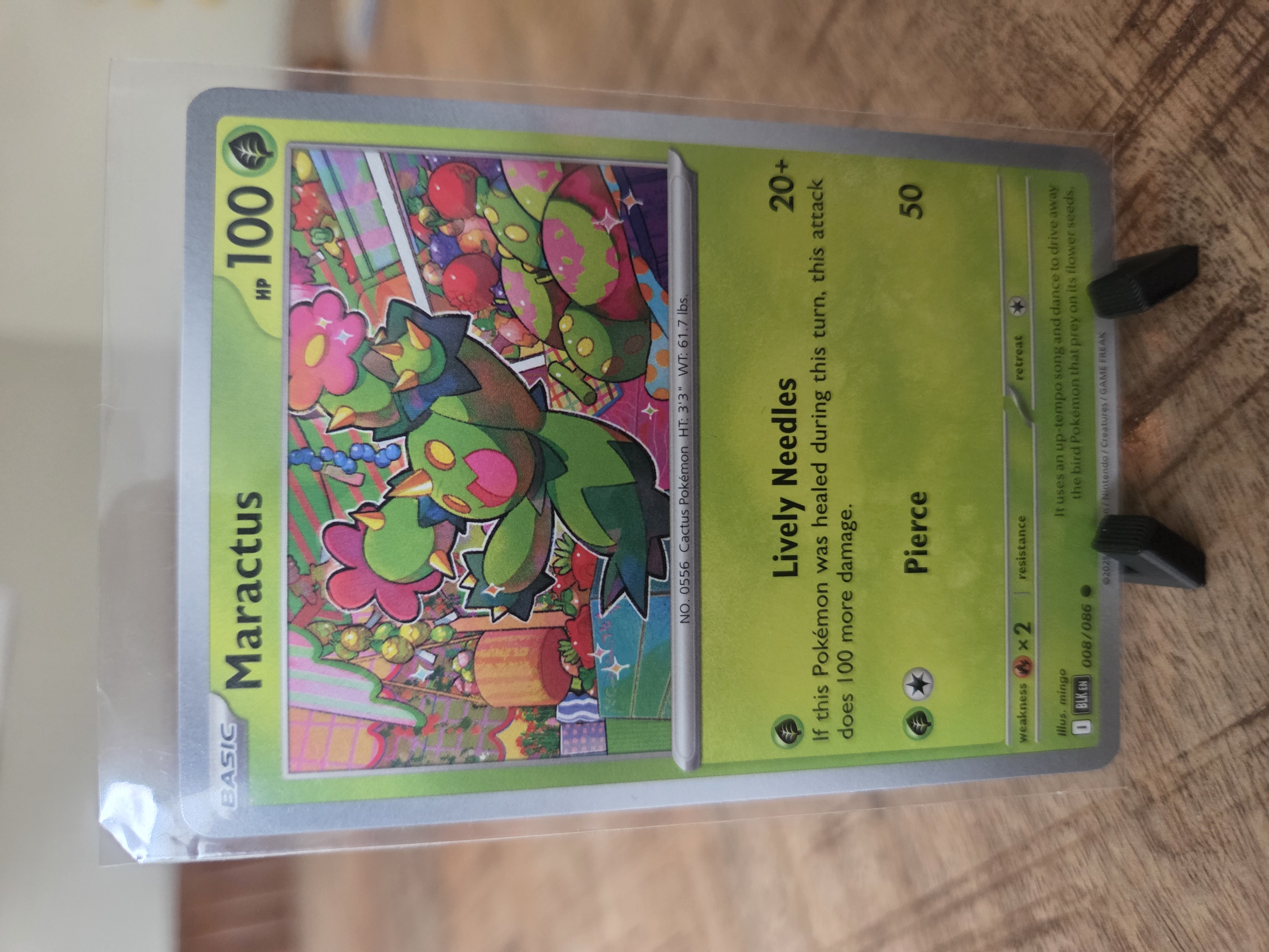 Maractus