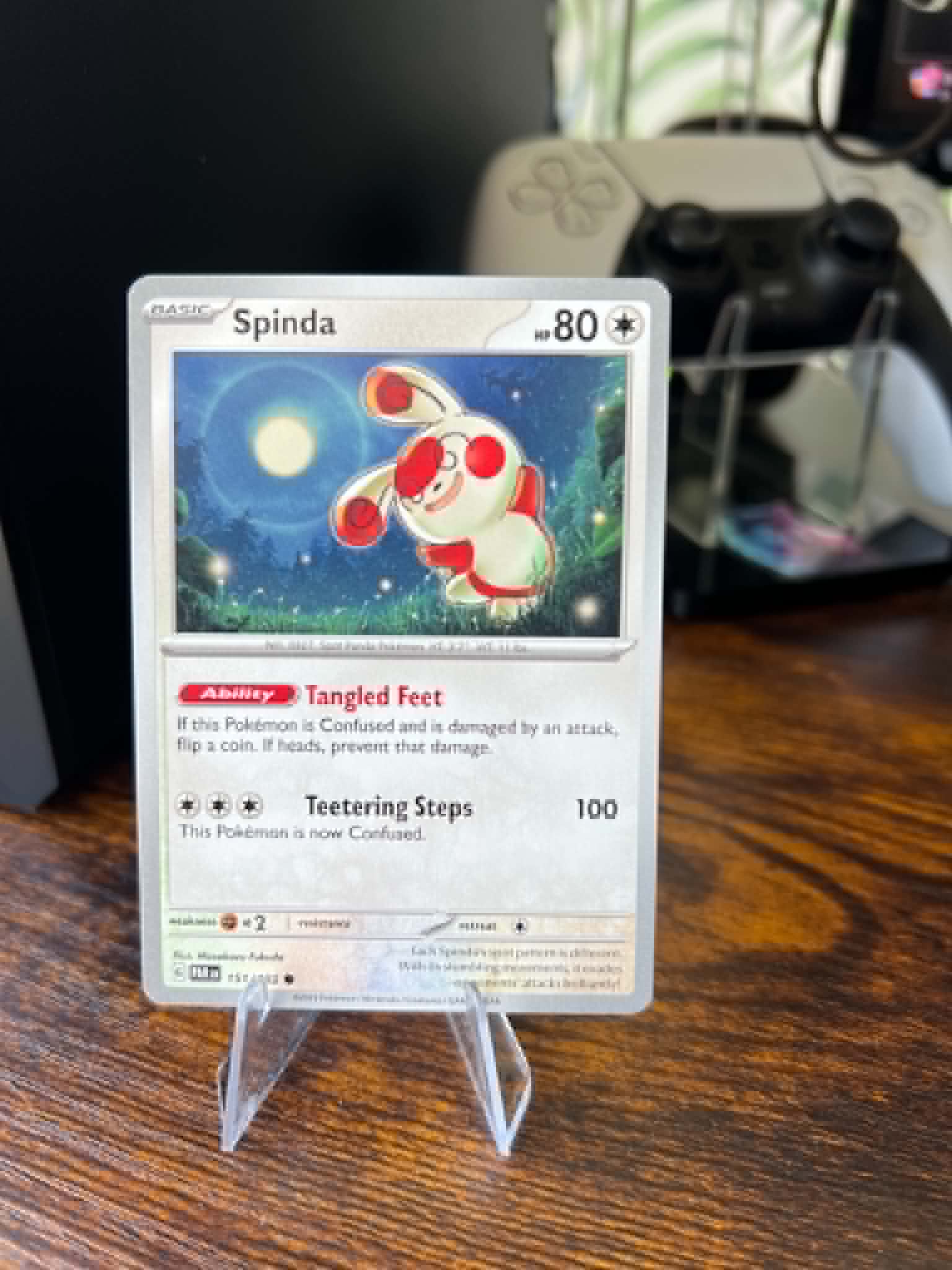 Spinda foto 1