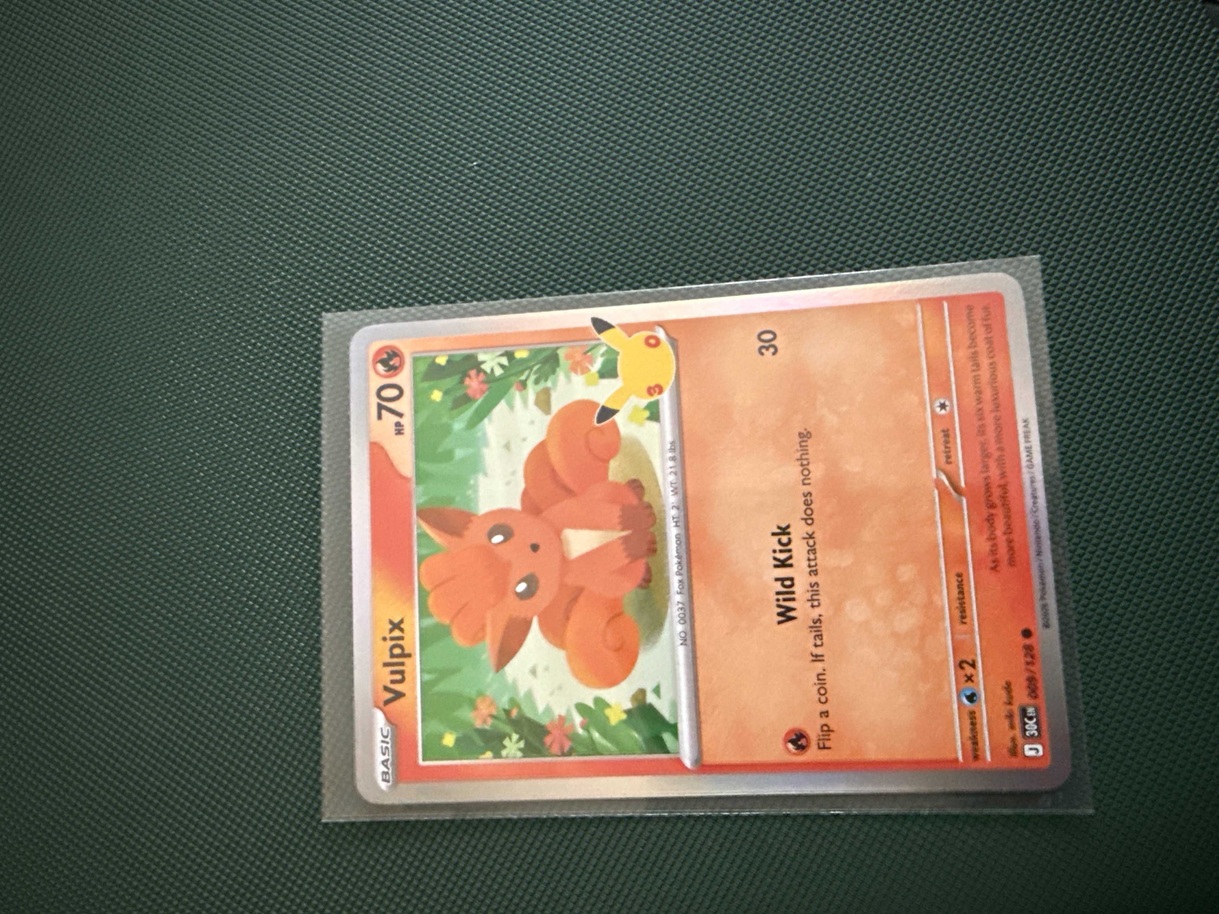 Vulpix foto 1
