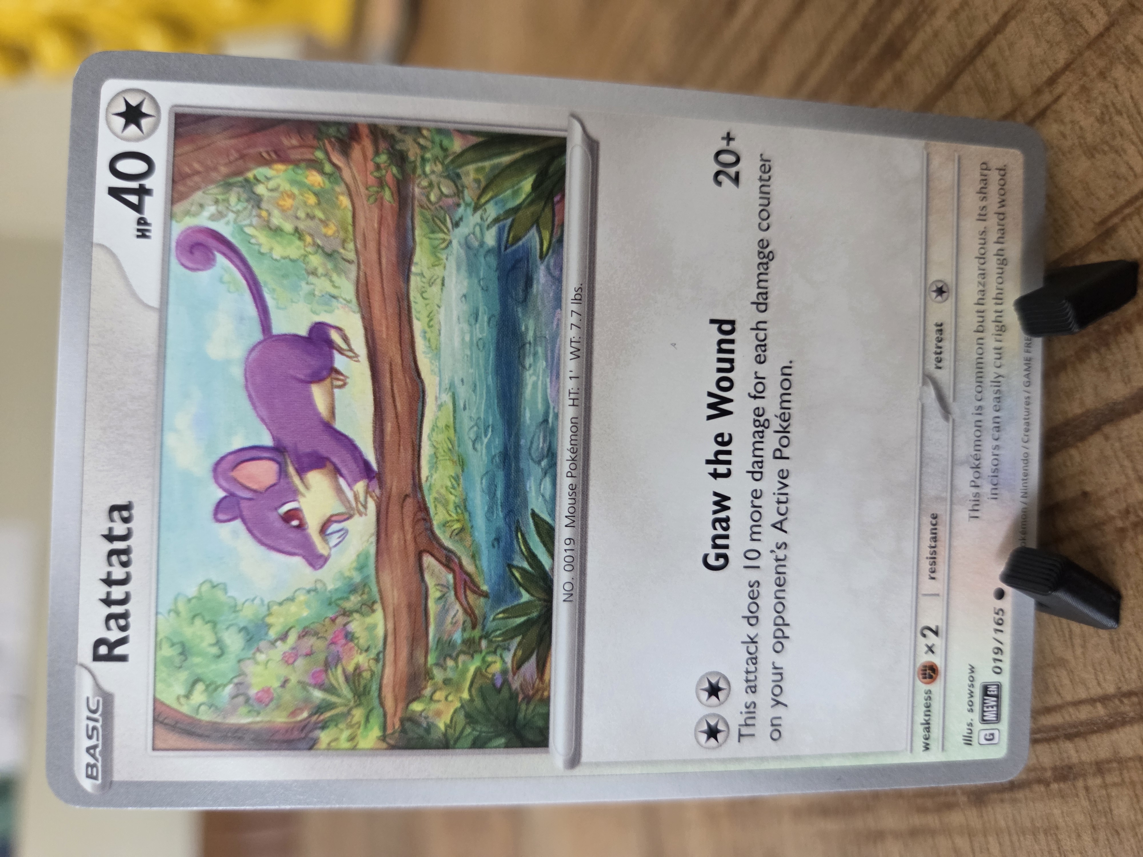 Rattata
