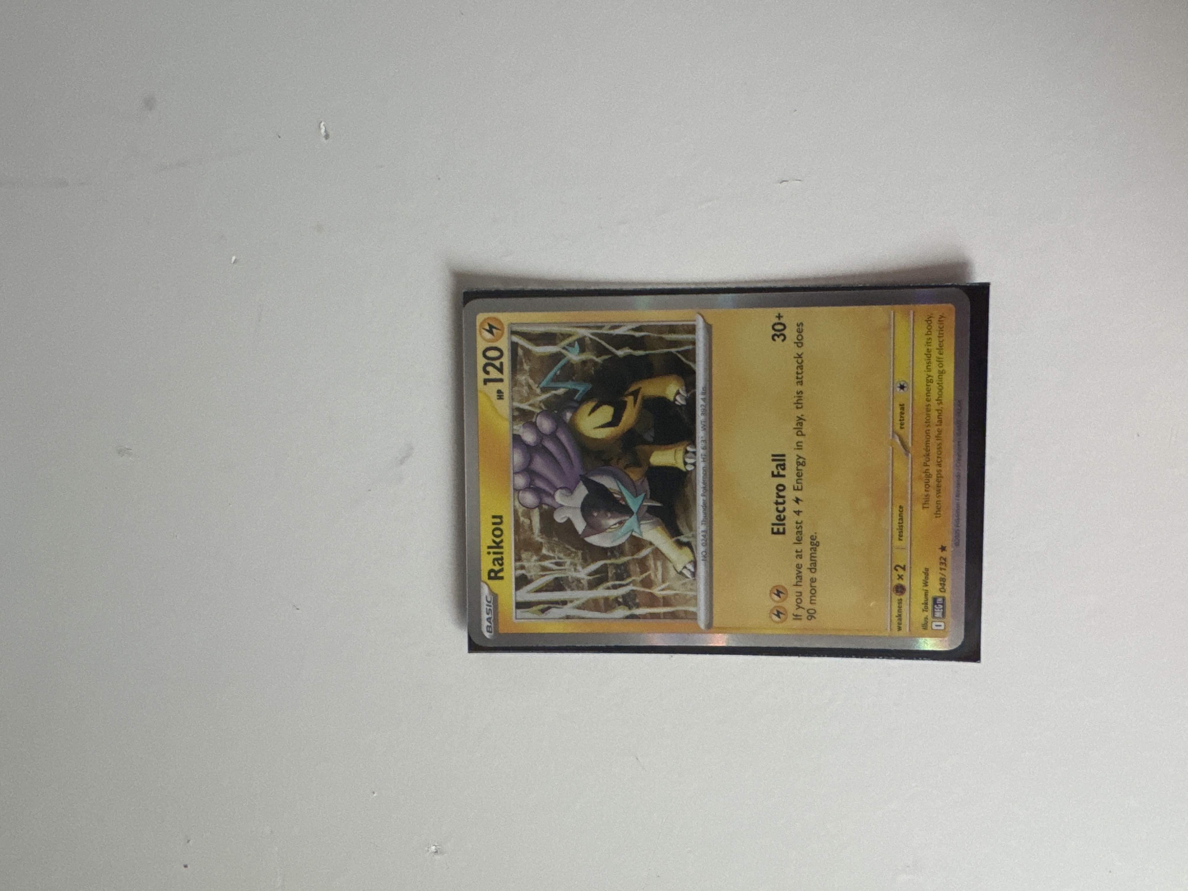 Raikou foto 1