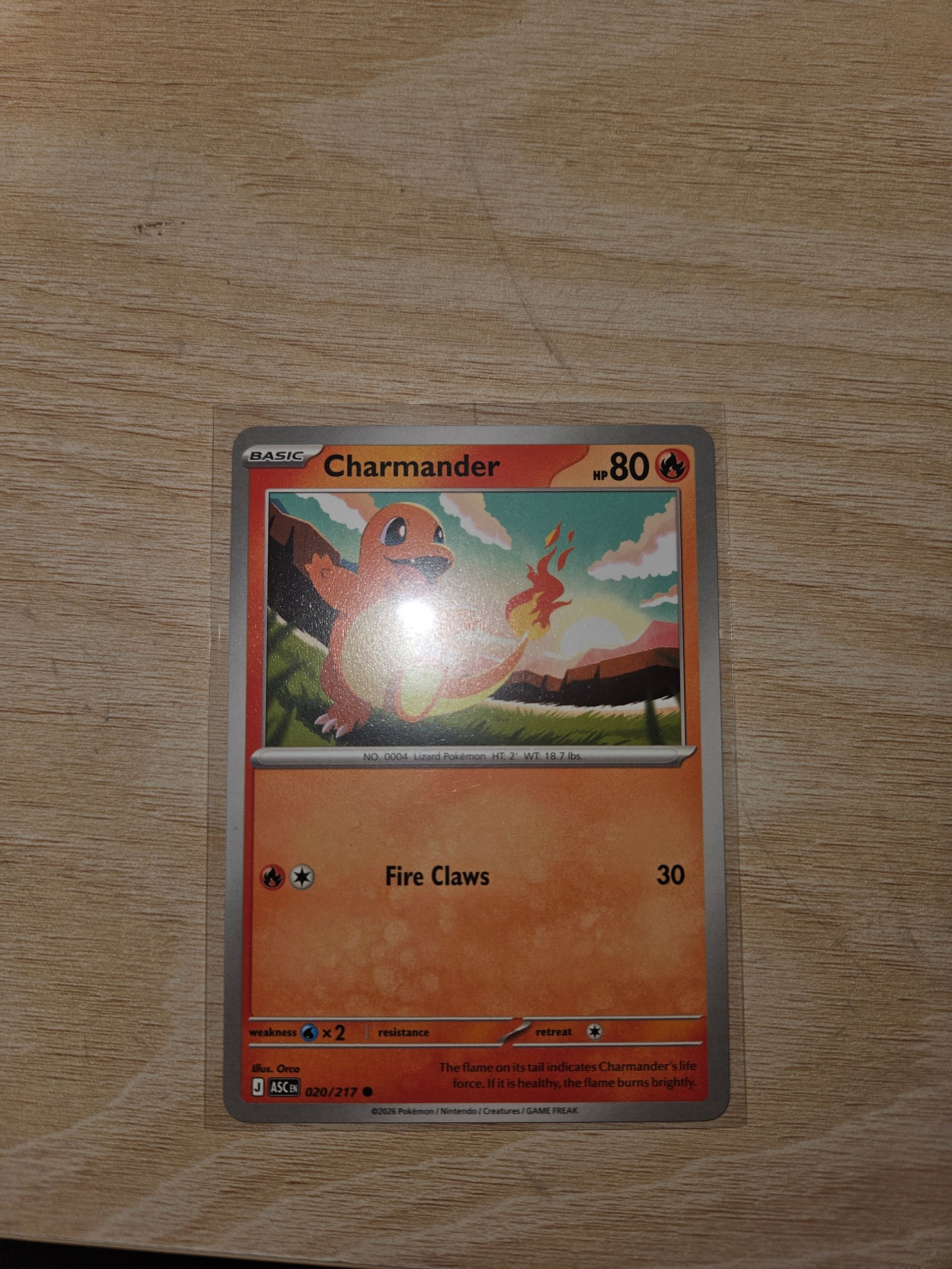 Charmander foto 1