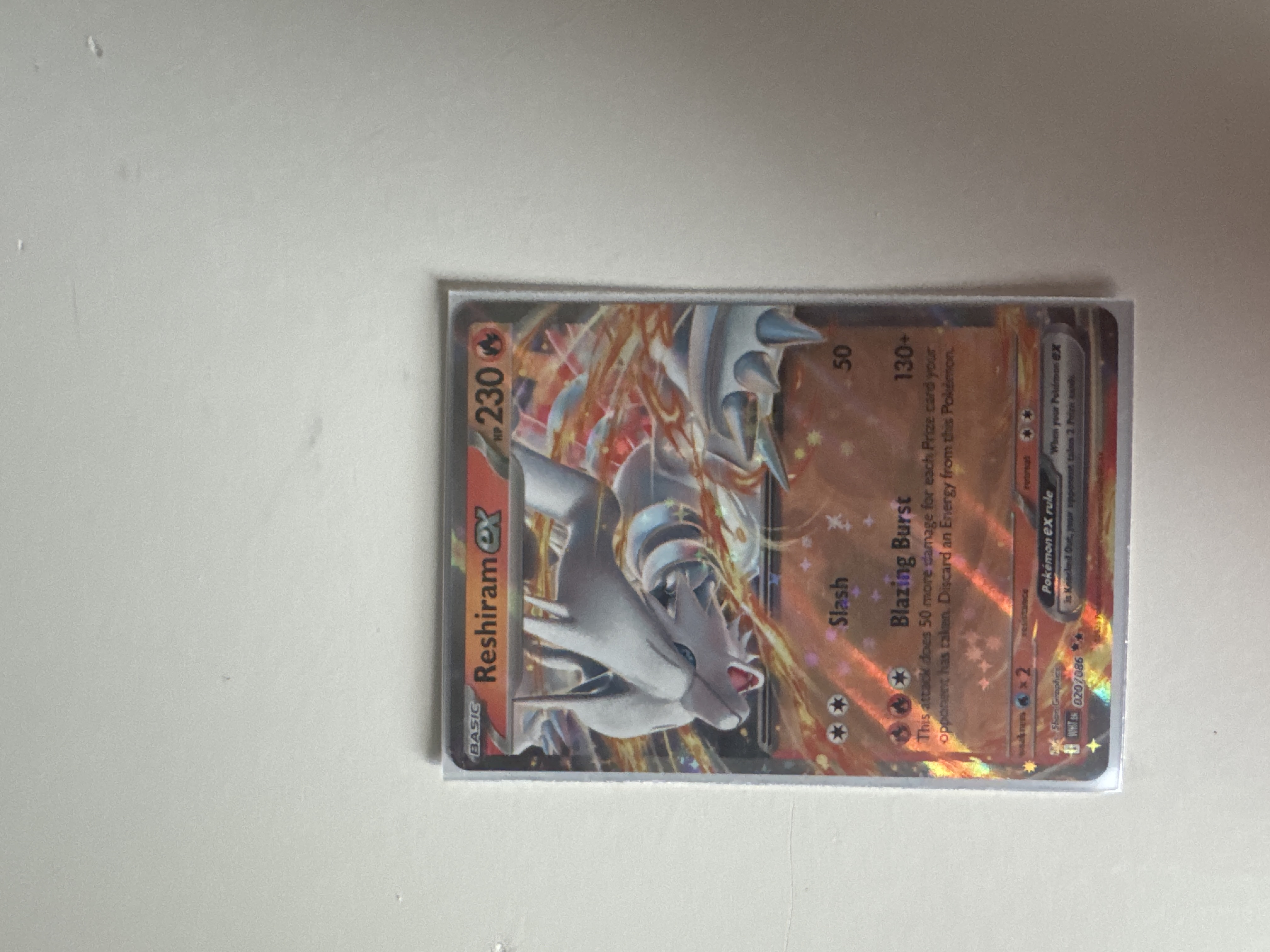 Reshiram ex foto 1