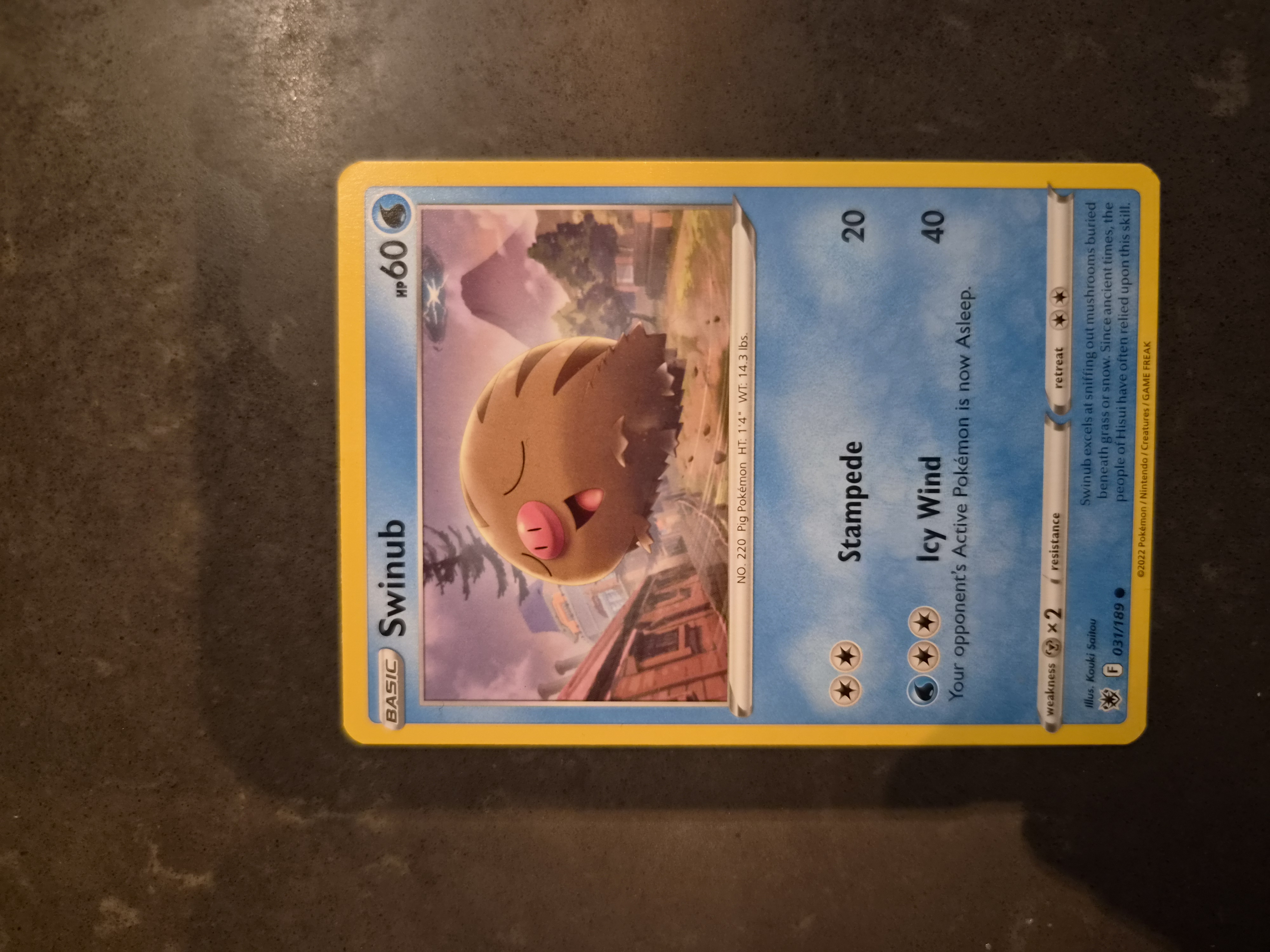 Swinub foto 1
