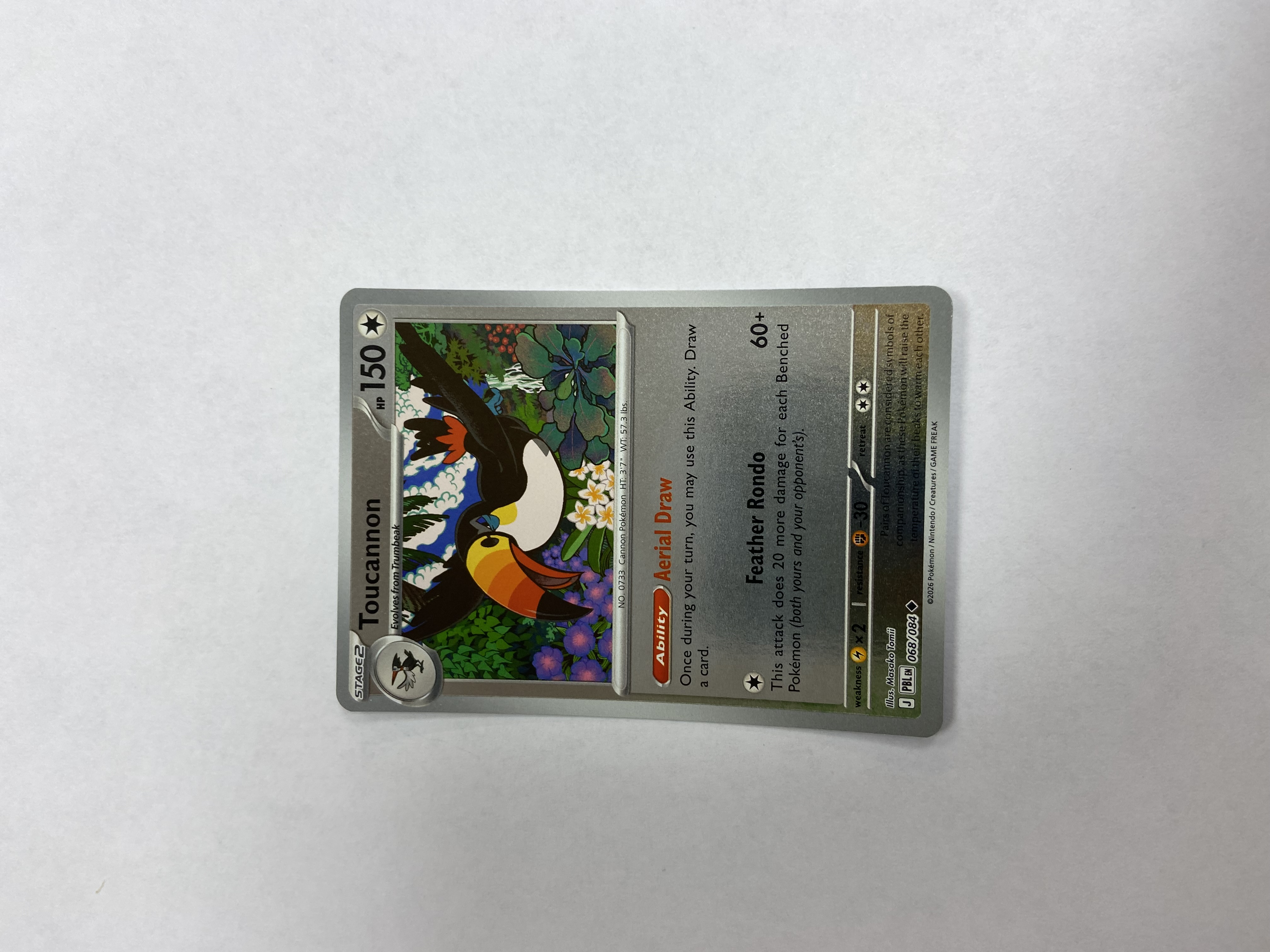 Toucannon