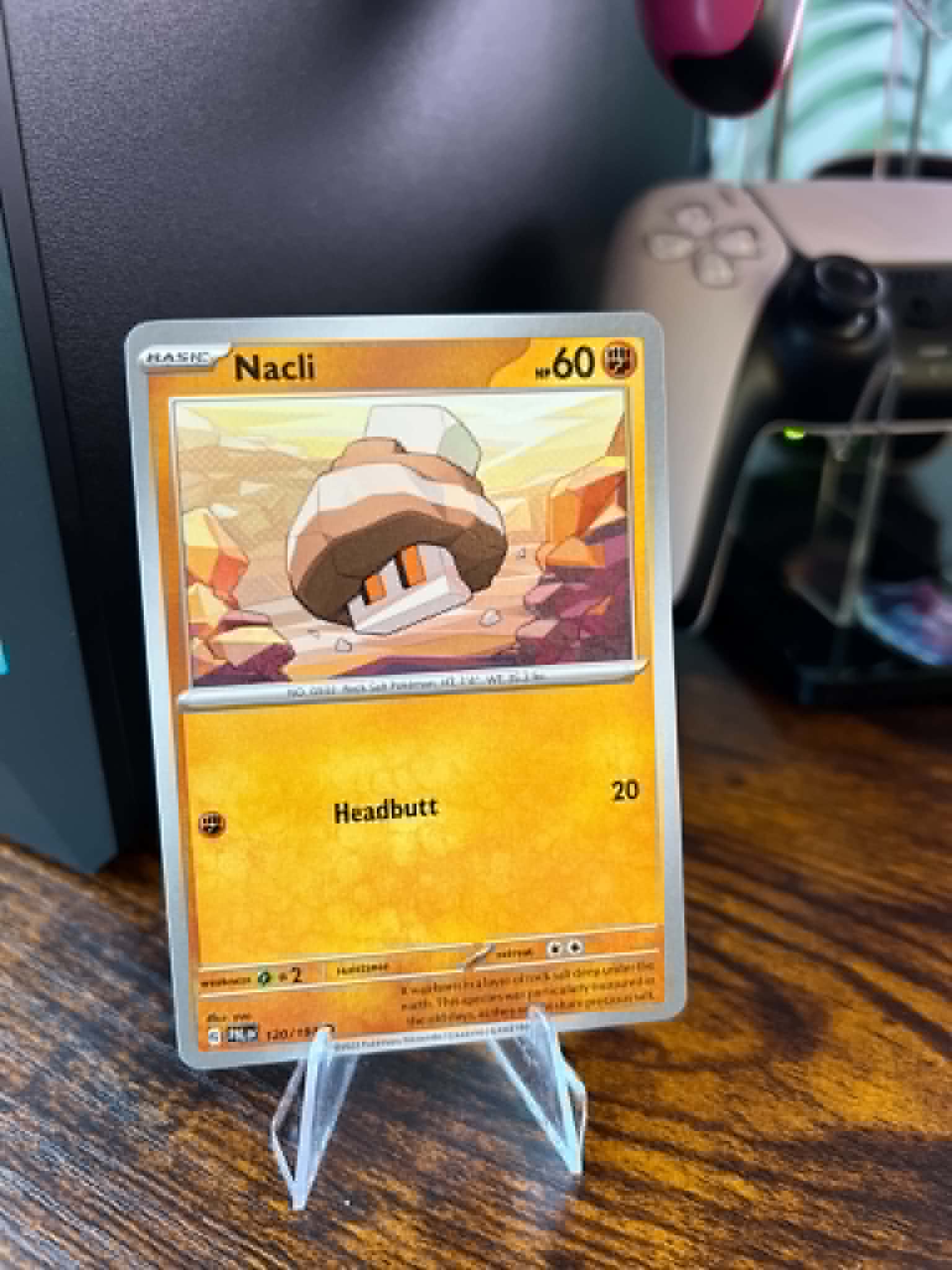 Nacli foto 1