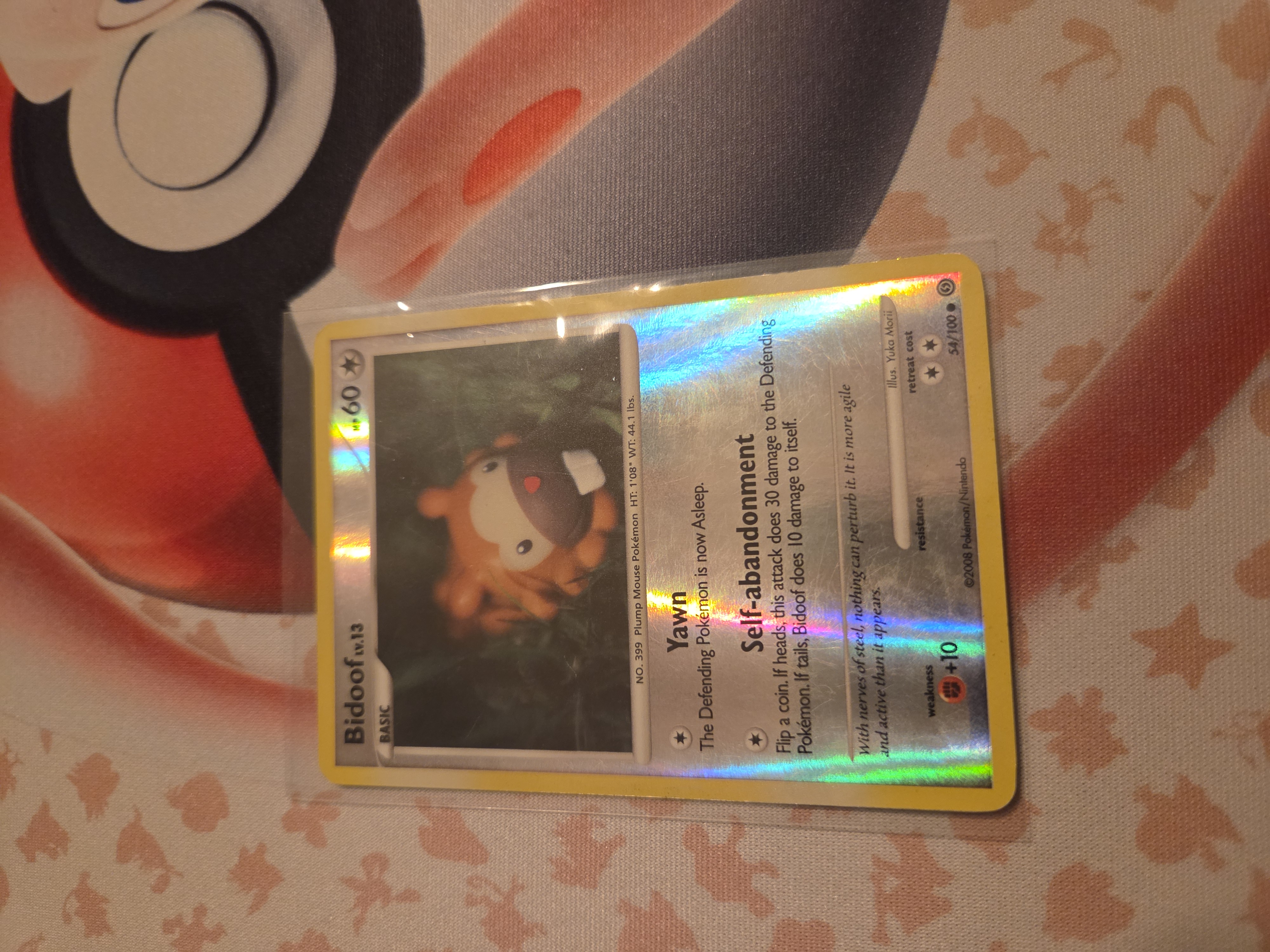 Bidoof foto 1