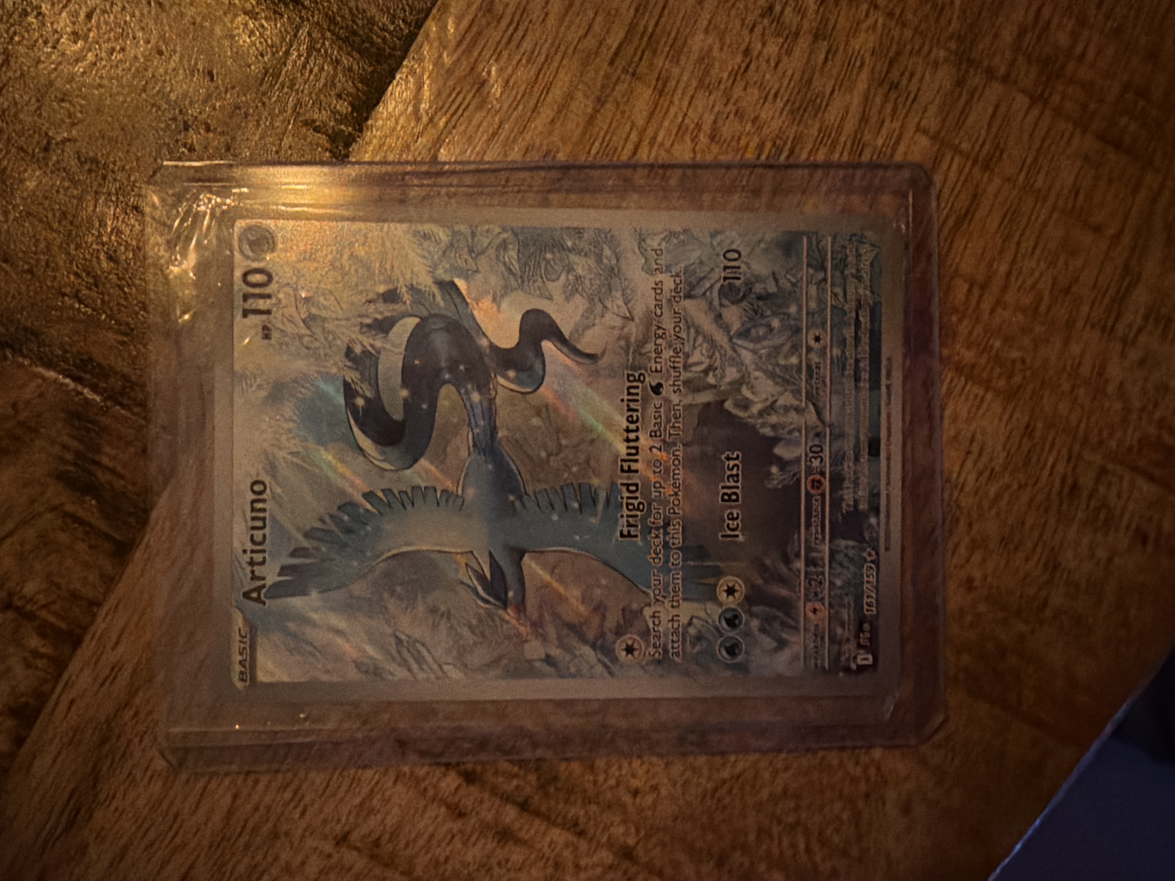 Articuno foto 1