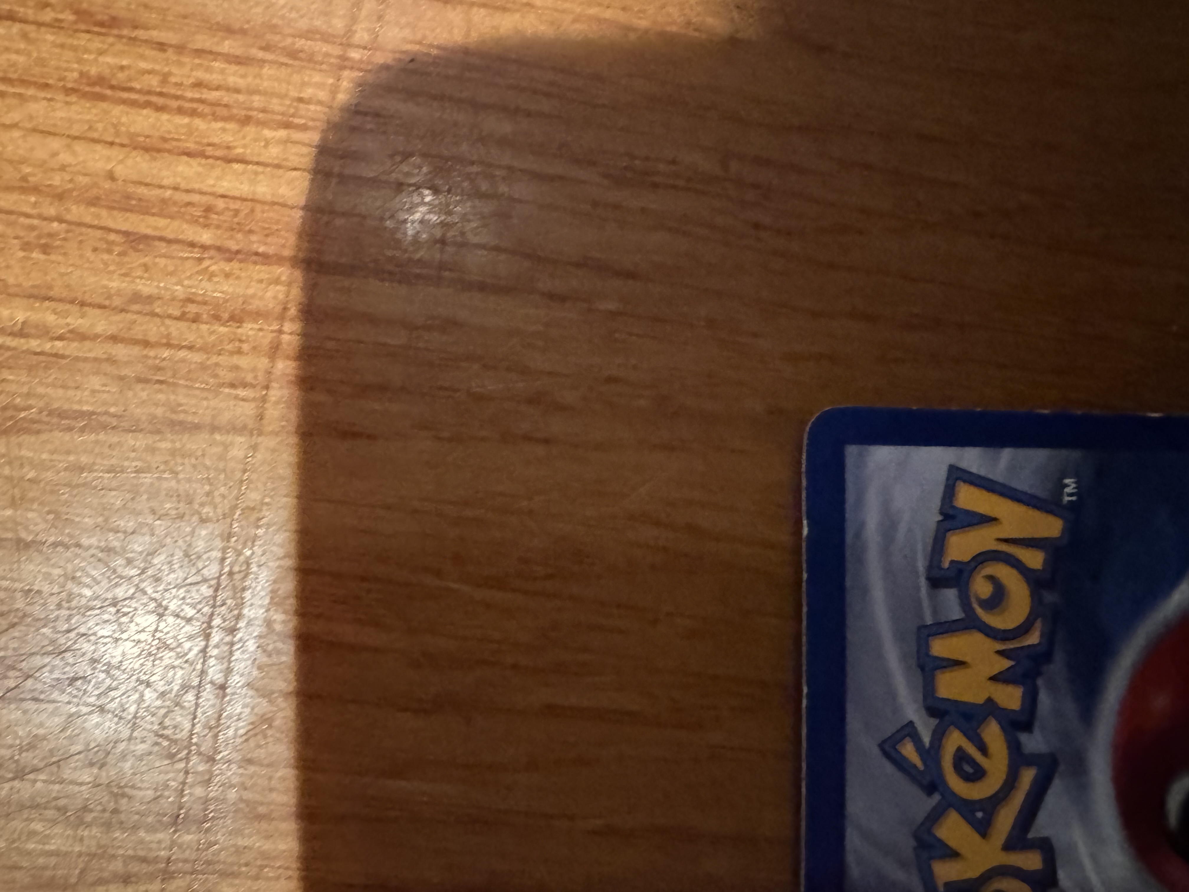Kangaskhan foto 6