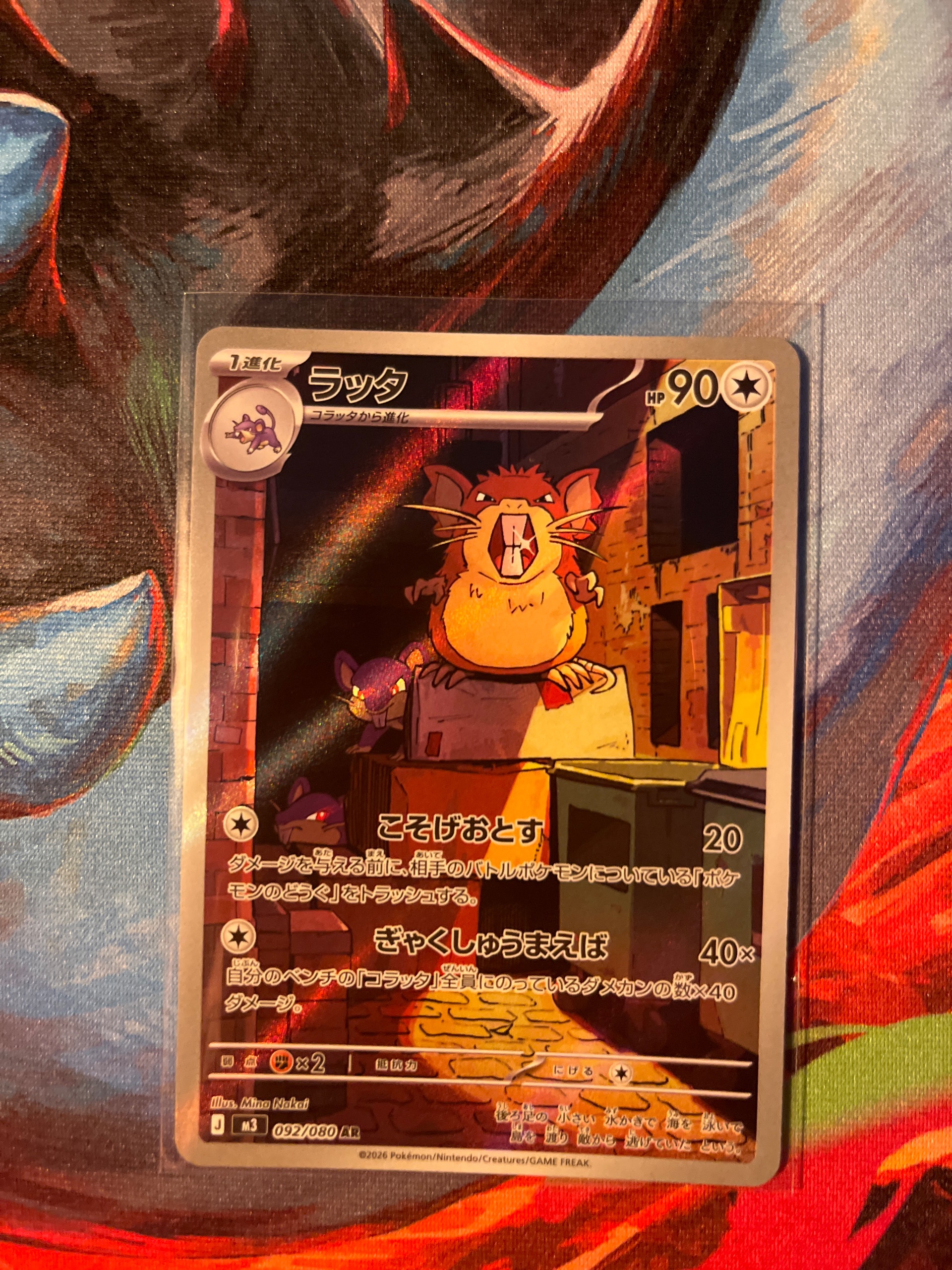 Raticate foto 1